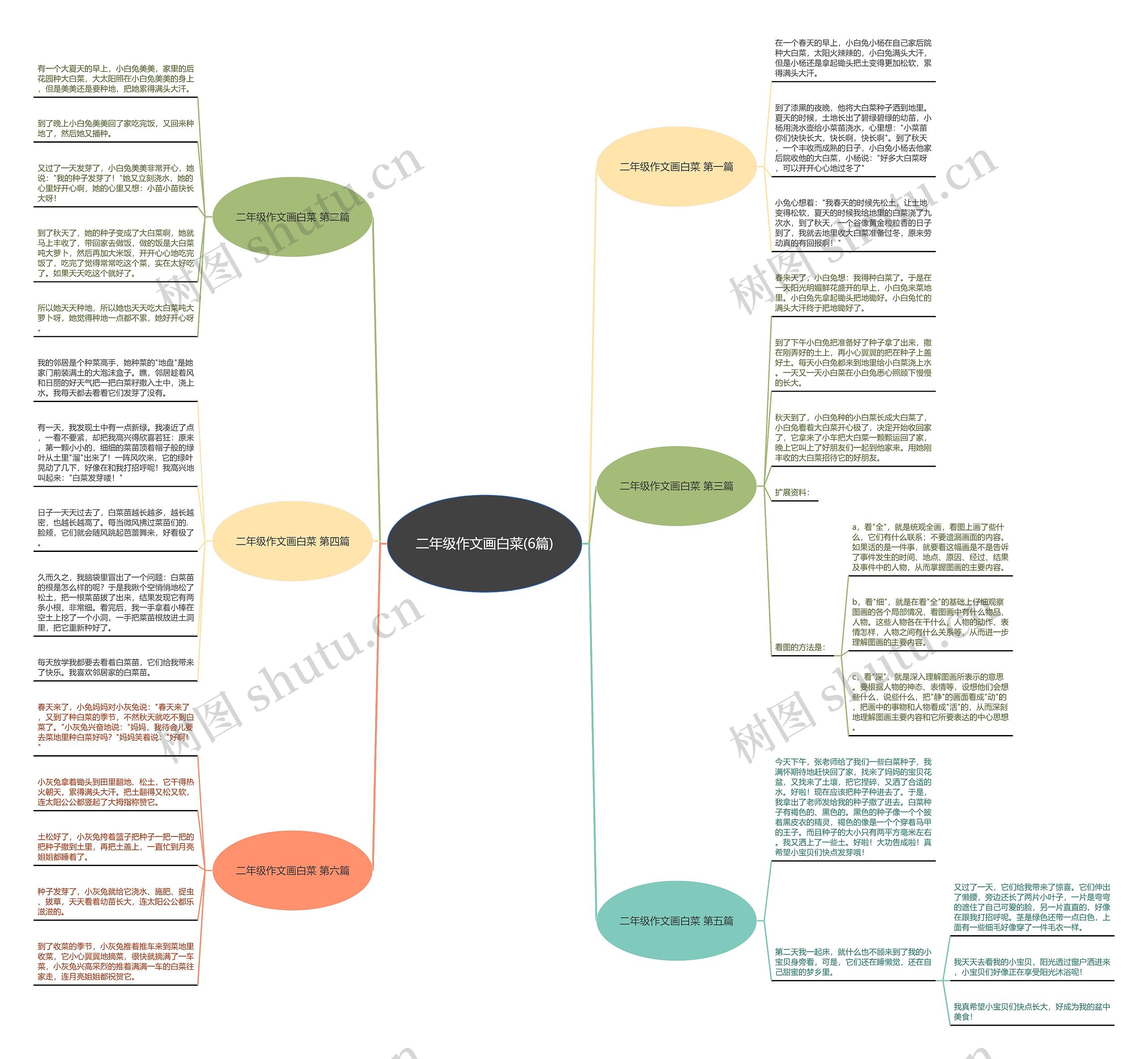 二年级作文画白菜(6篇)思维导图