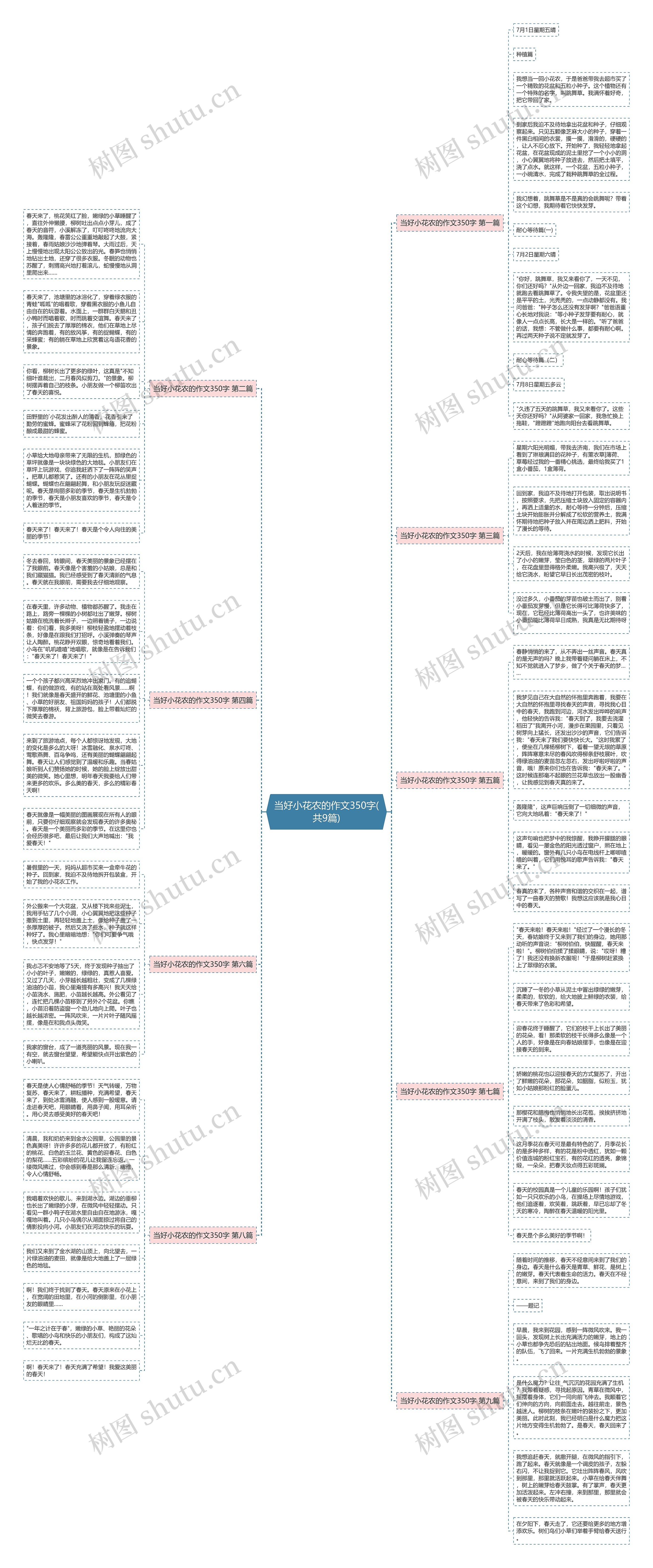 当好小花农的作文350字(共9篇)思维导图