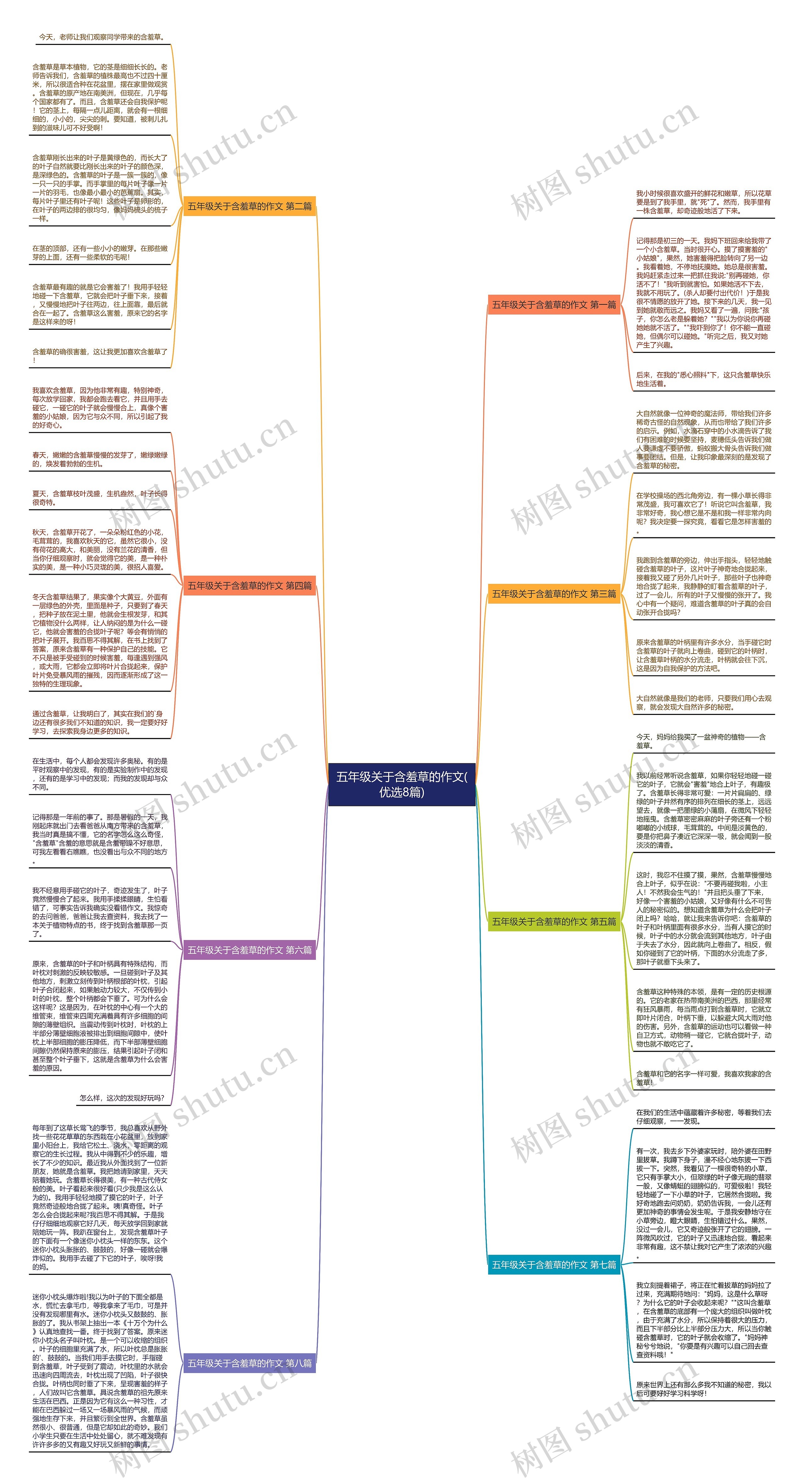 五年级关于含羞草的作文(优选8篇)思维导图