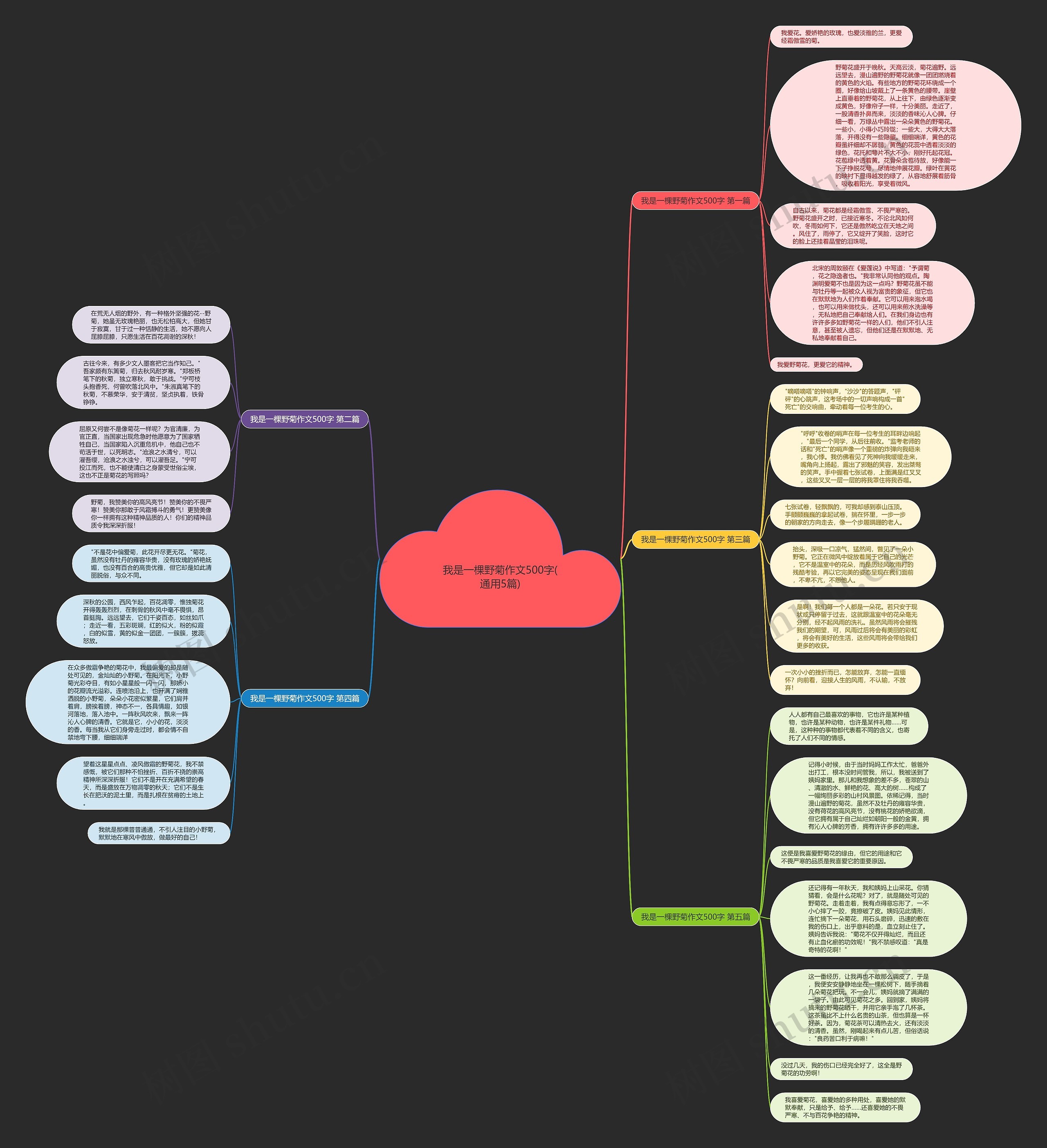 我是一棵野菊作文500字(通用5篇)思维导图