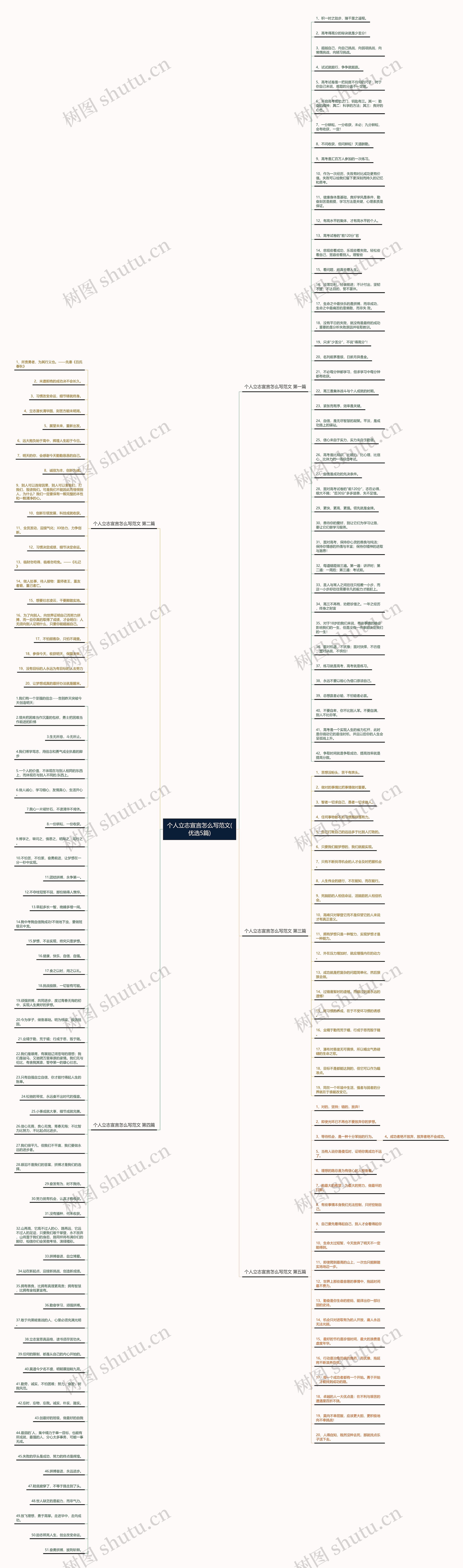 个人立志宣言怎么写范文(优选5篇)思维导图