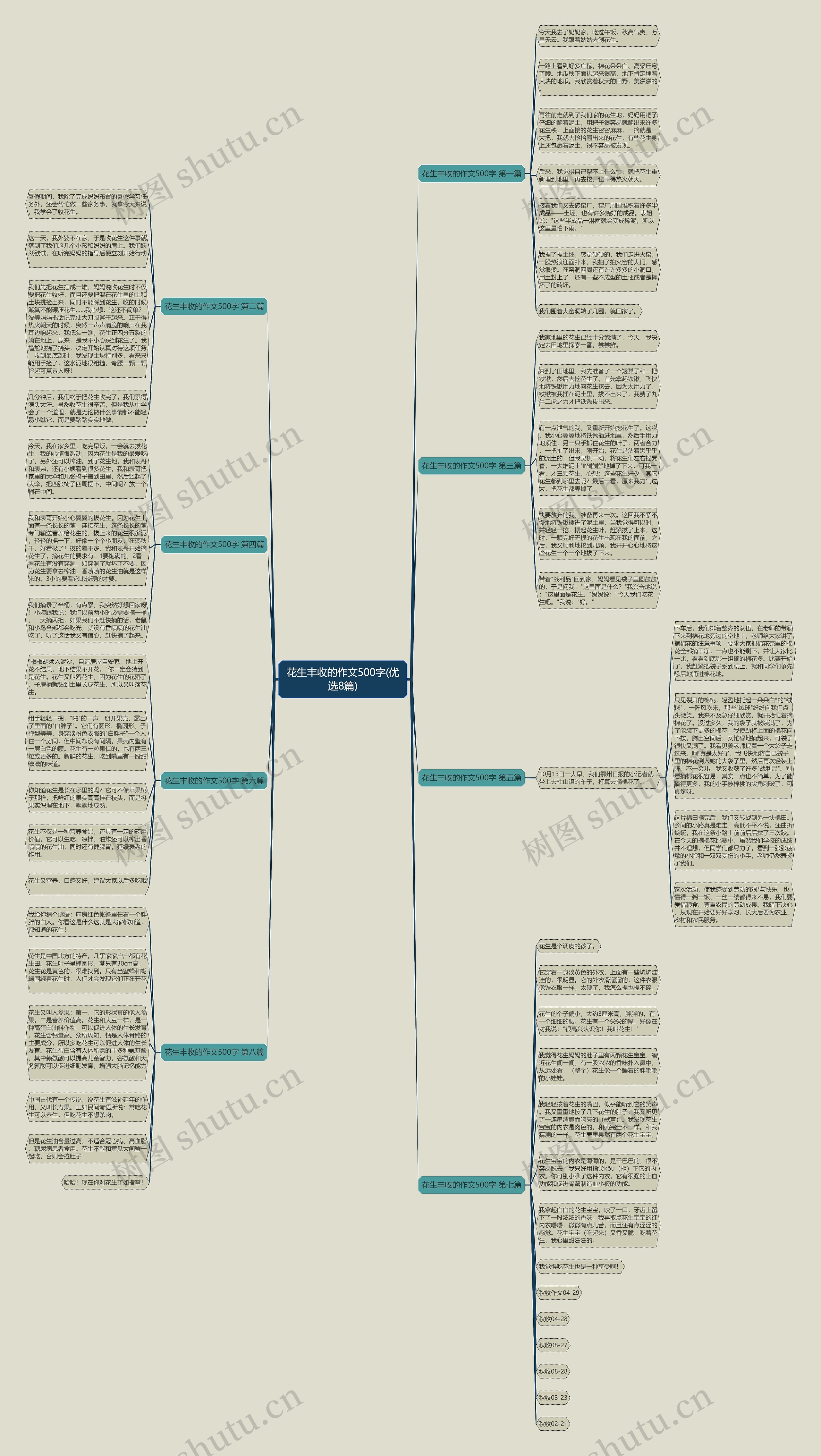 花生丰收的作文500字(优选8篇)思维导图