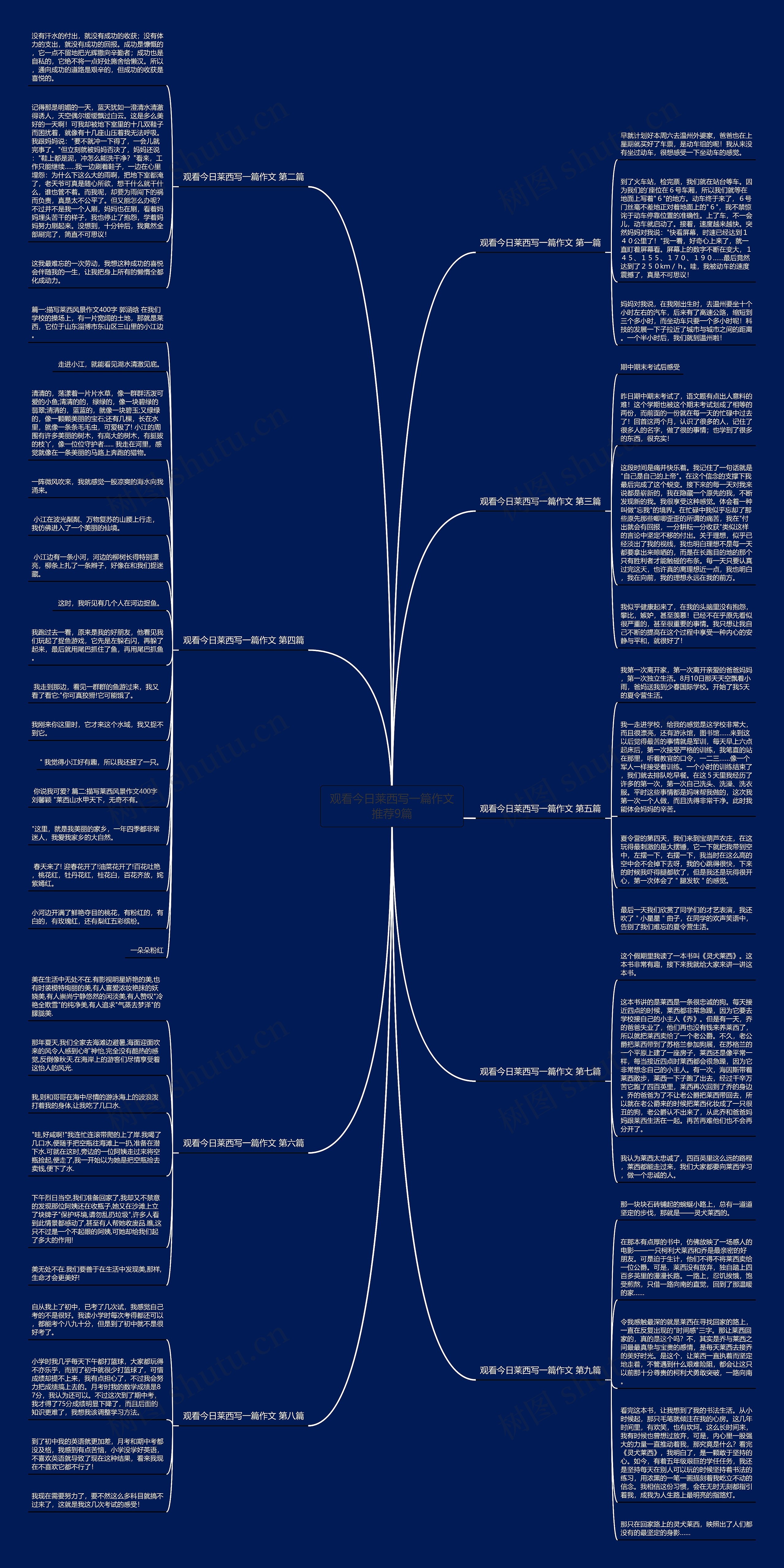 观看今日莱西写一篇作文推荐9篇思维导图