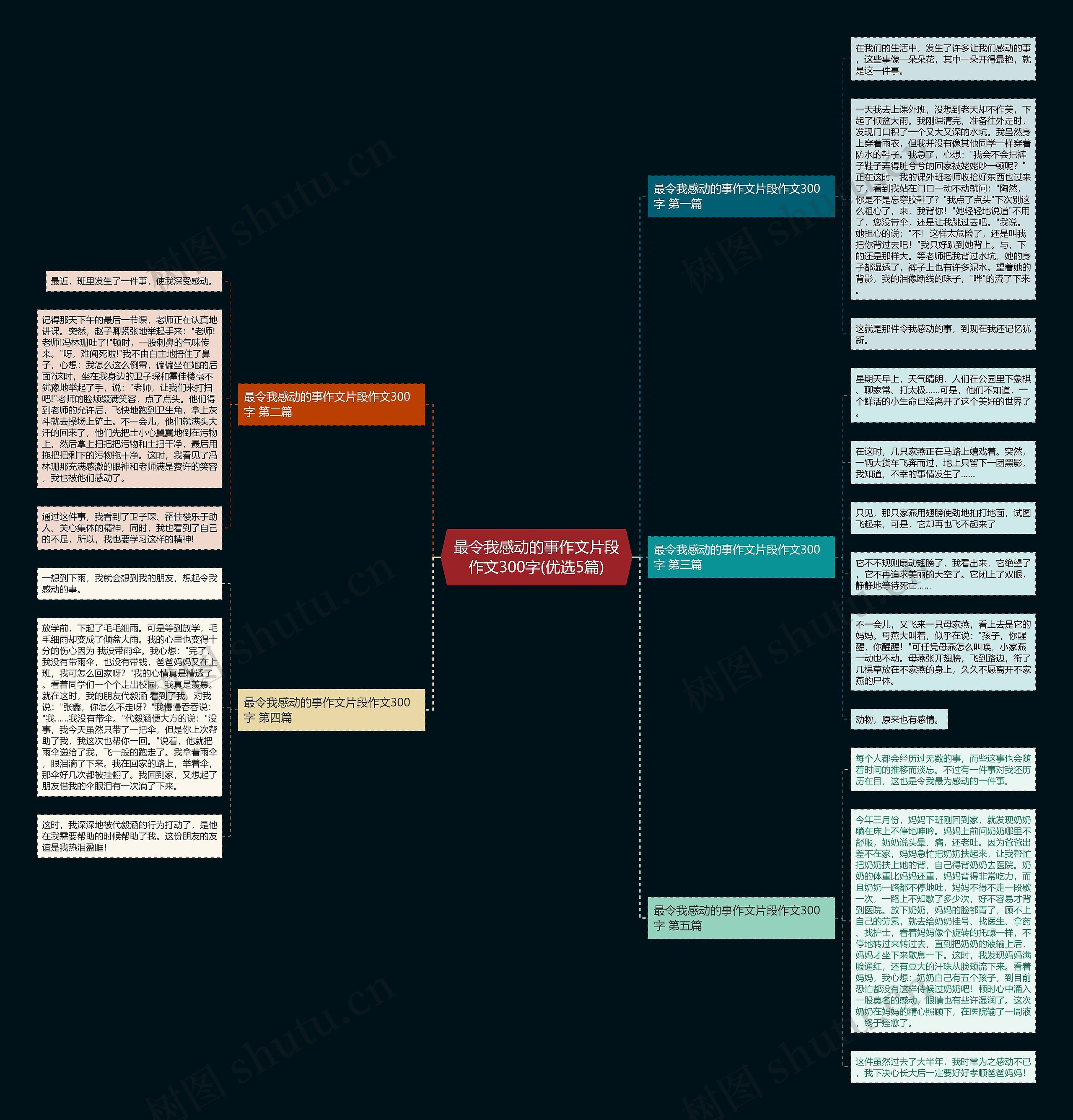 最令我感动的事作文片段作文300字(优选5篇)思维导图