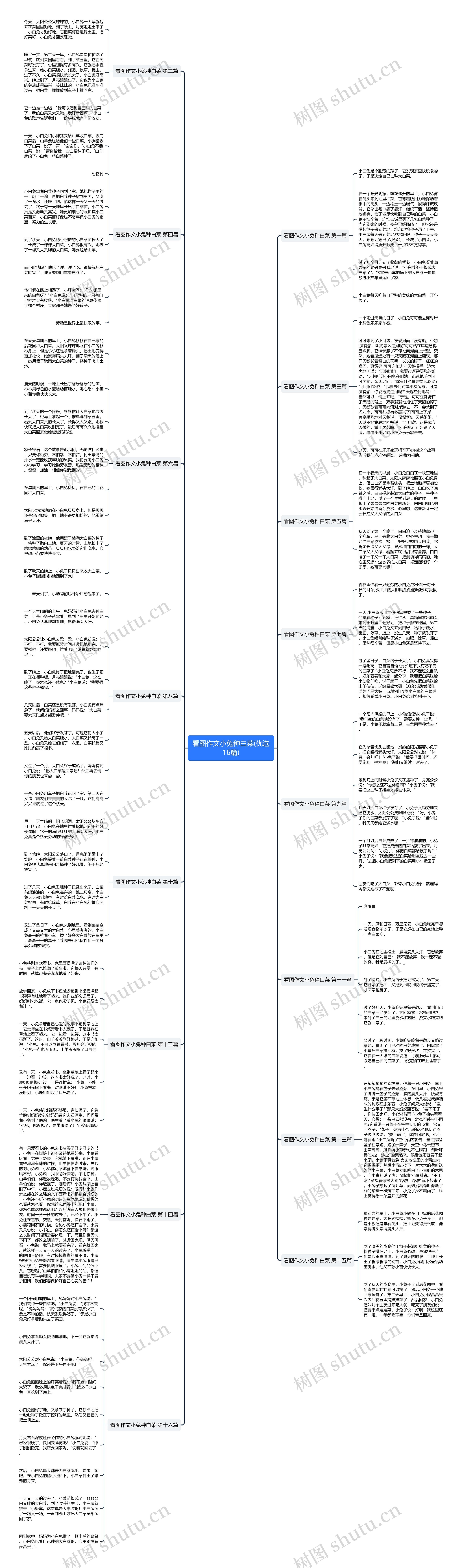 看图作文小兔种白菜(优选16篇) 看图作文小兔种白菜(优选16篇)