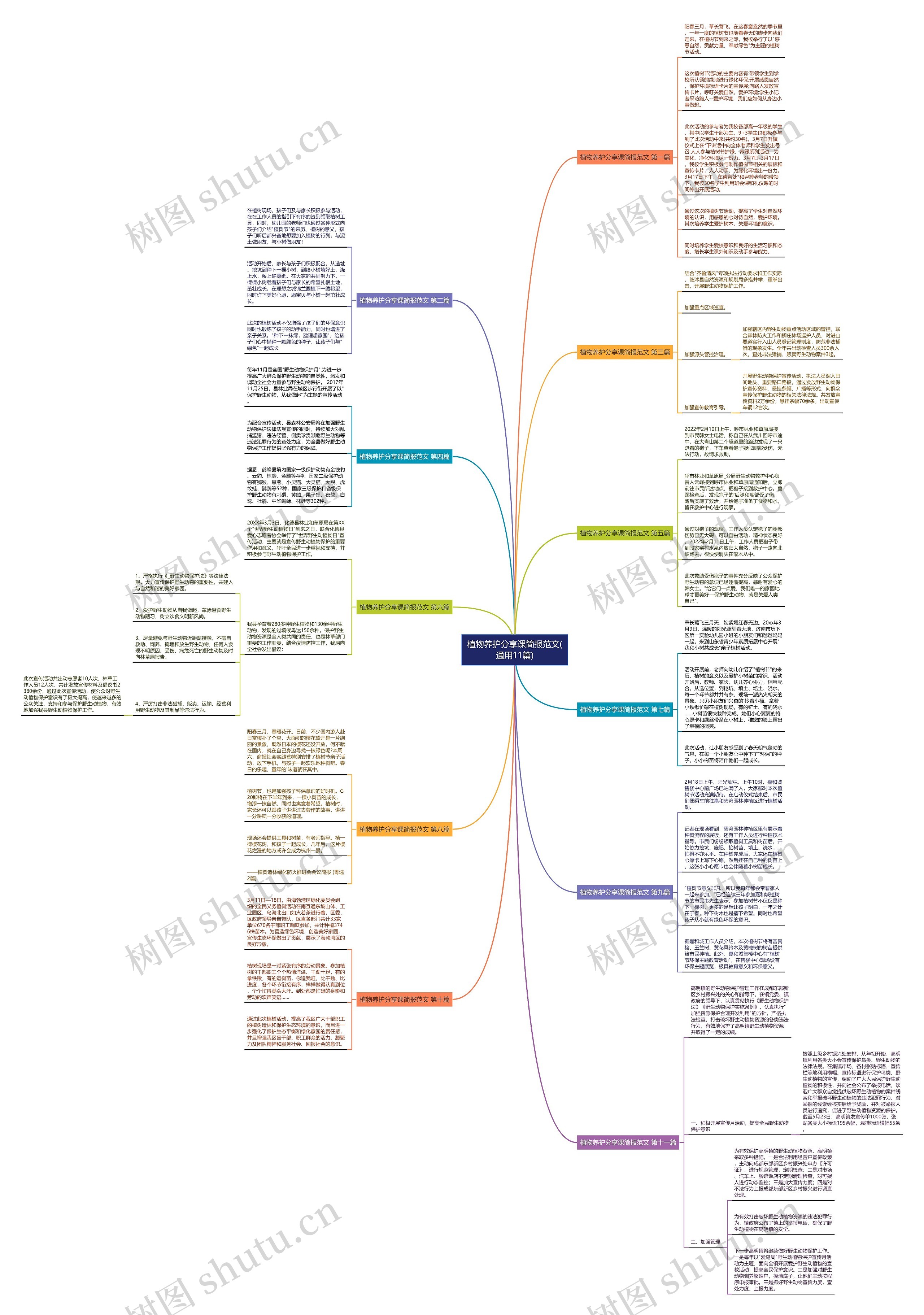 植物养护分享课简报范文(通用11篇)思维导图