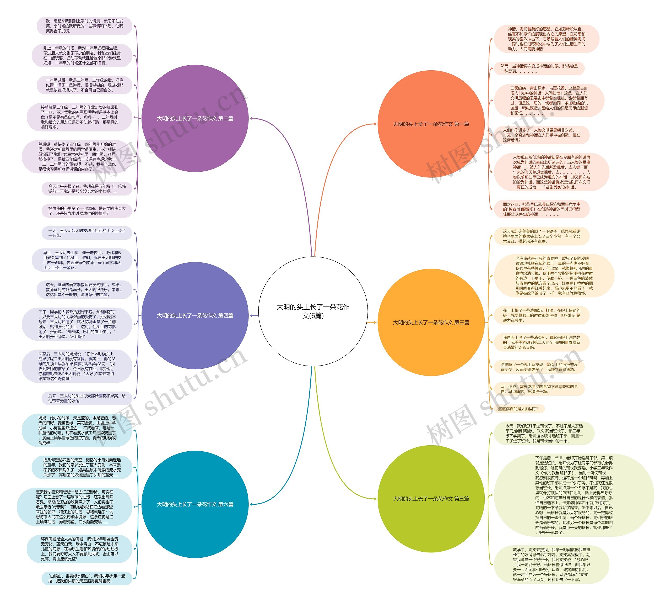 大明的头上长了一朵花作文(6篇)思维导图