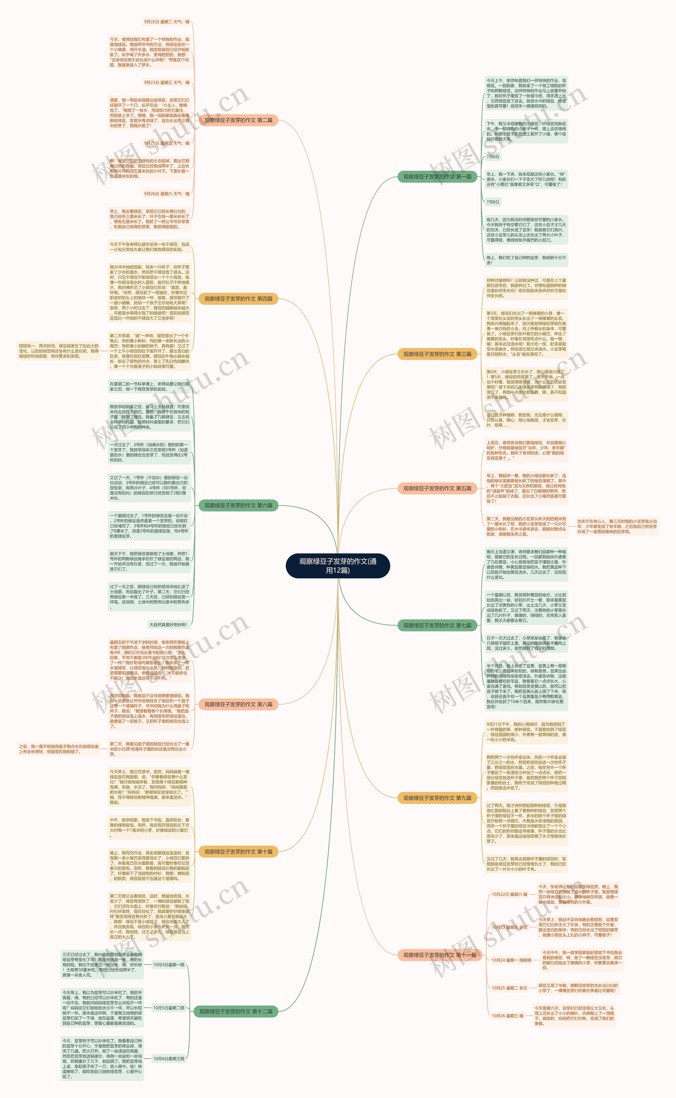 观察绿豆子发芽的作文(通用12篇)思维导图