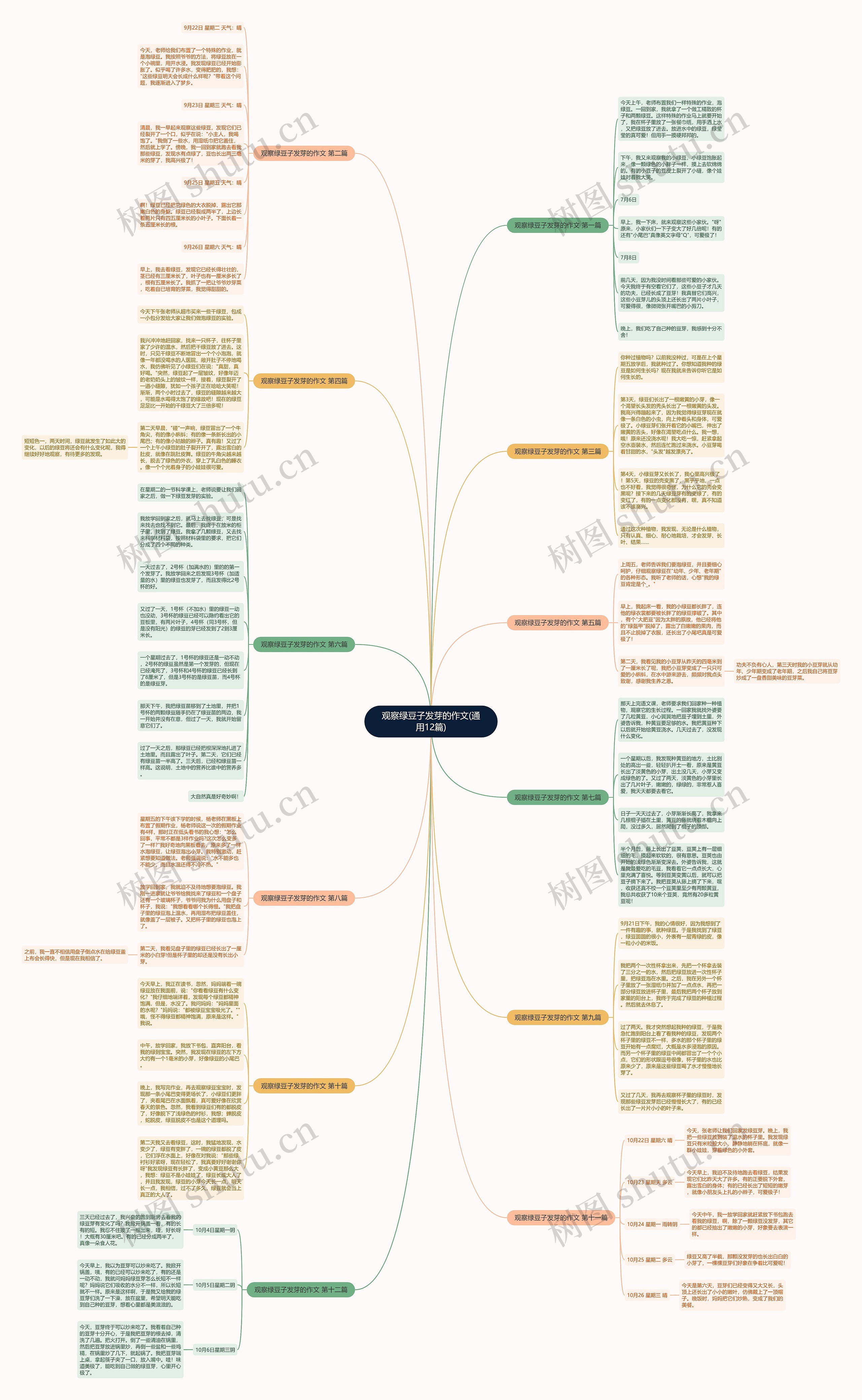 观察绿豆子发芽的作文(通用12篇) 观察绿豆子发芽的作文(通用12篇)
