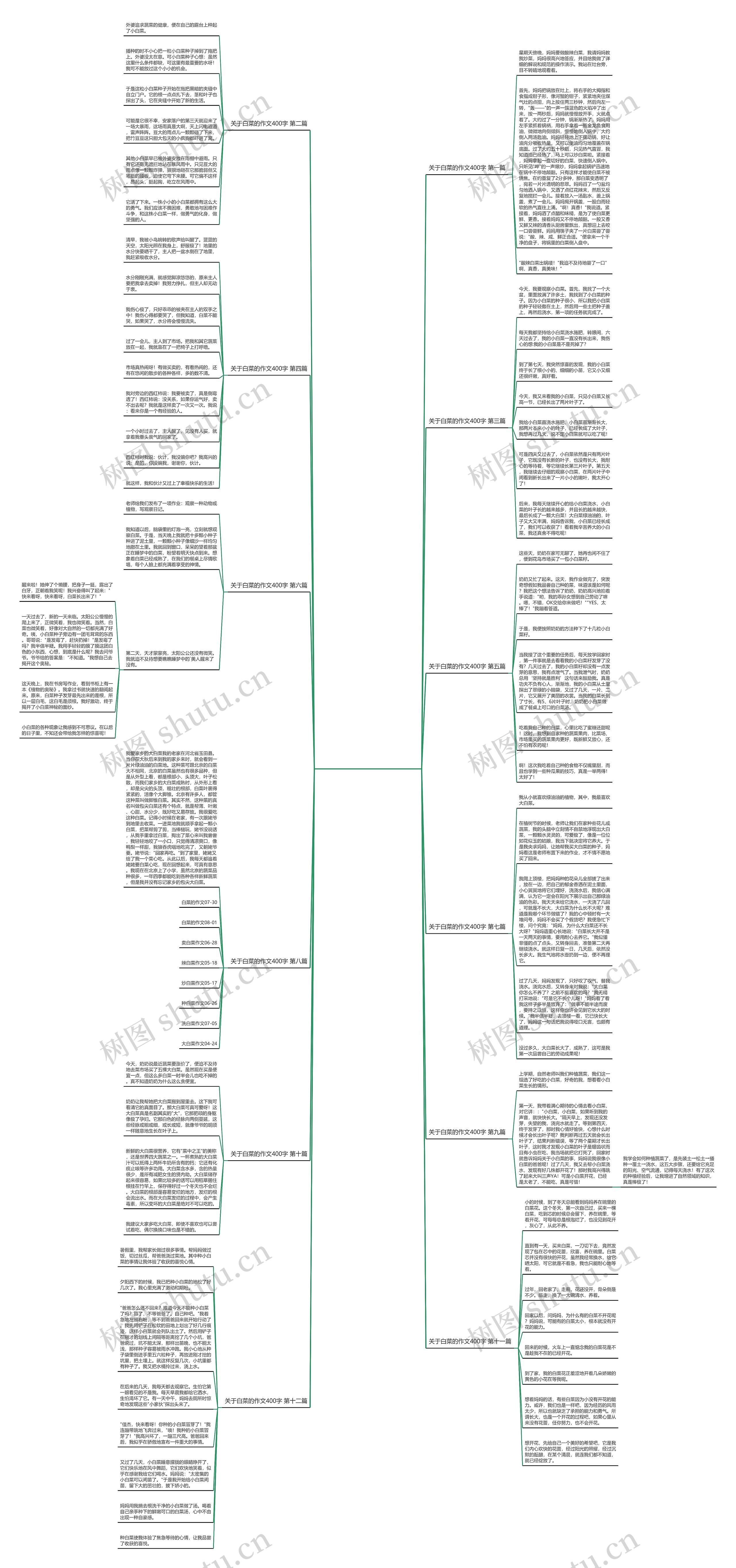 关于白菜的作文400字(共12篇)