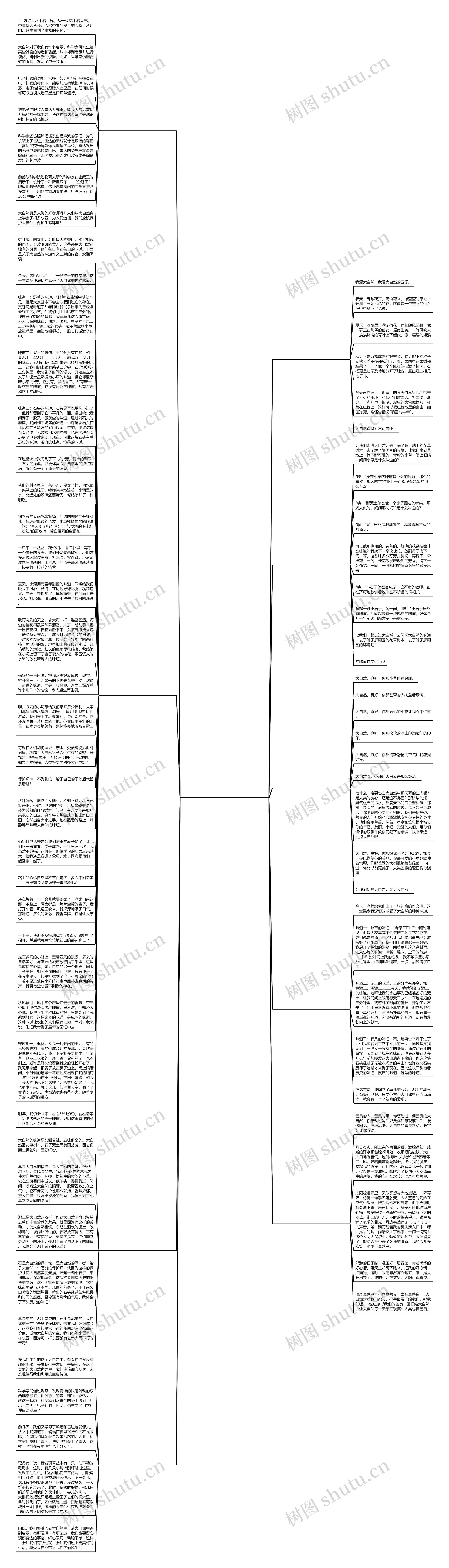 二年级大自然的味道作文(精选9篇)思维导图