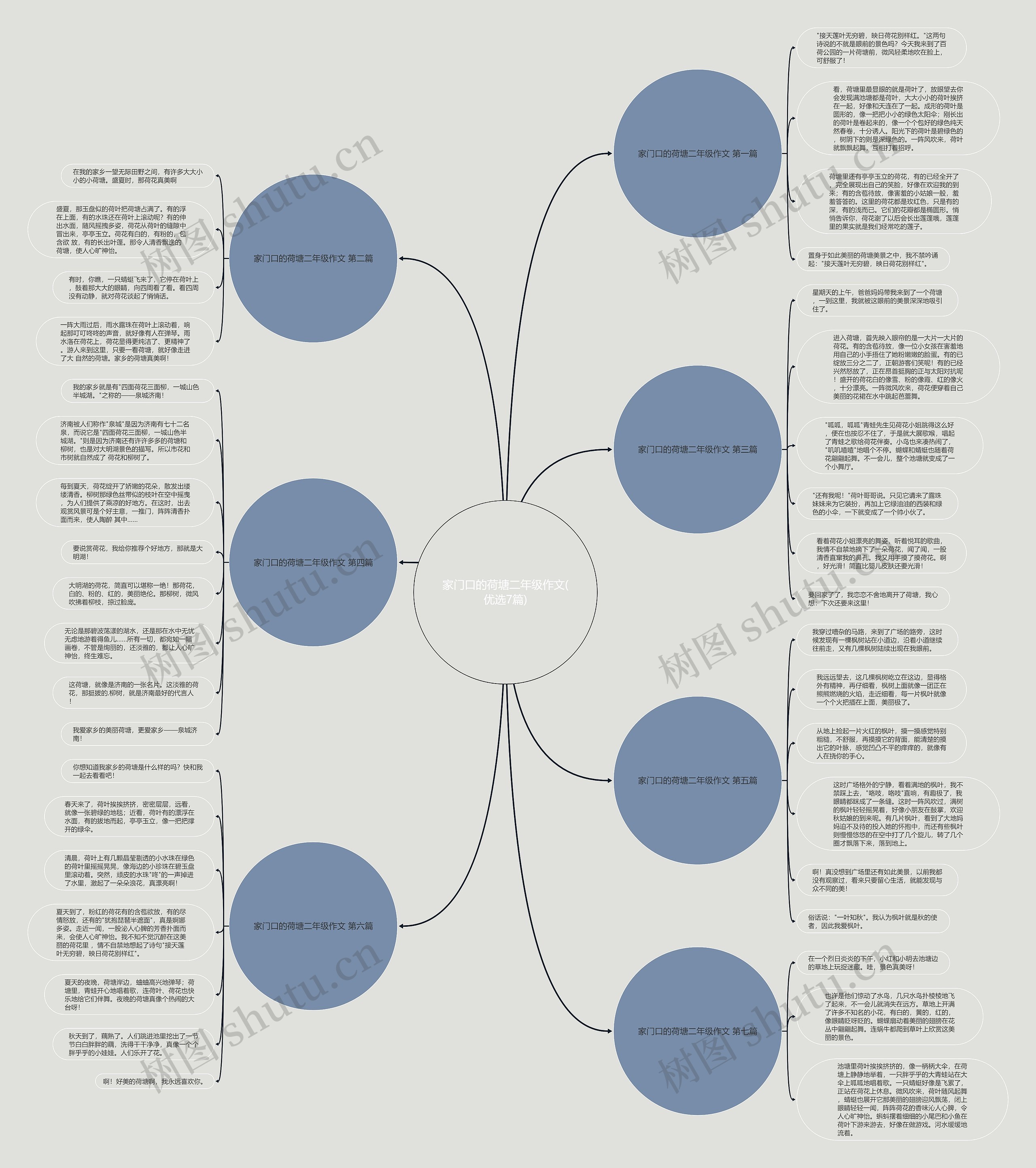家门口的荷塘二年级作文(优选7篇) 家门口的荷塘二年级作文(优选7篇)