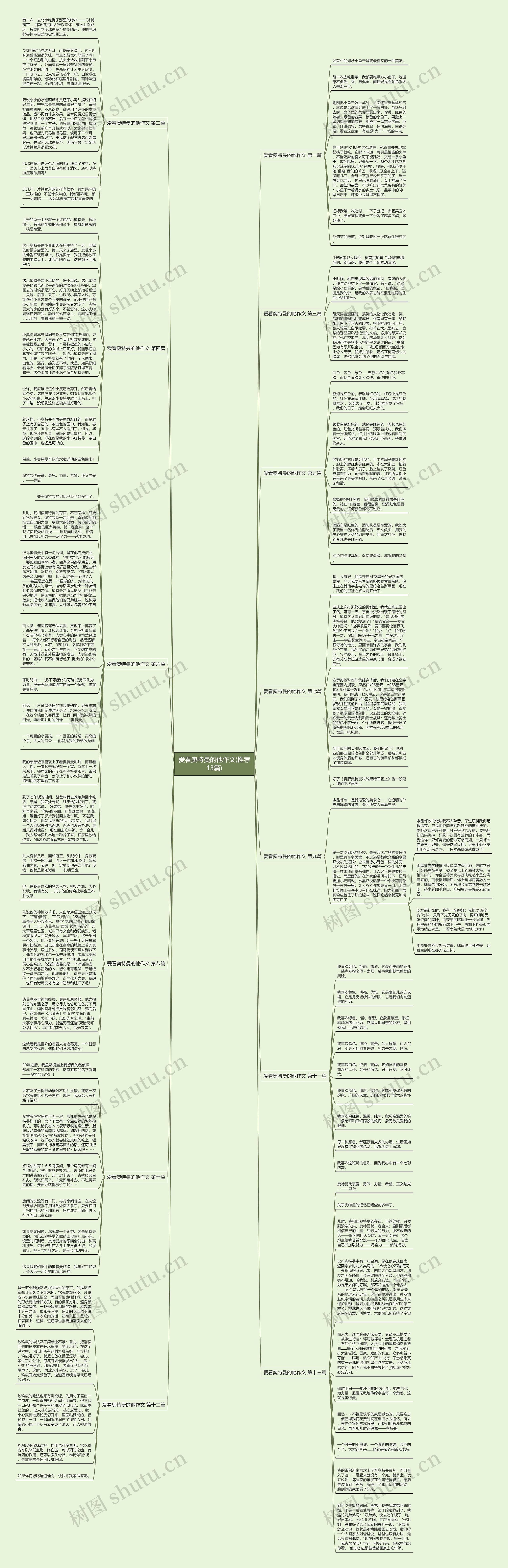 爱看奥特曼的他作文(推荐13篇)思维导图
