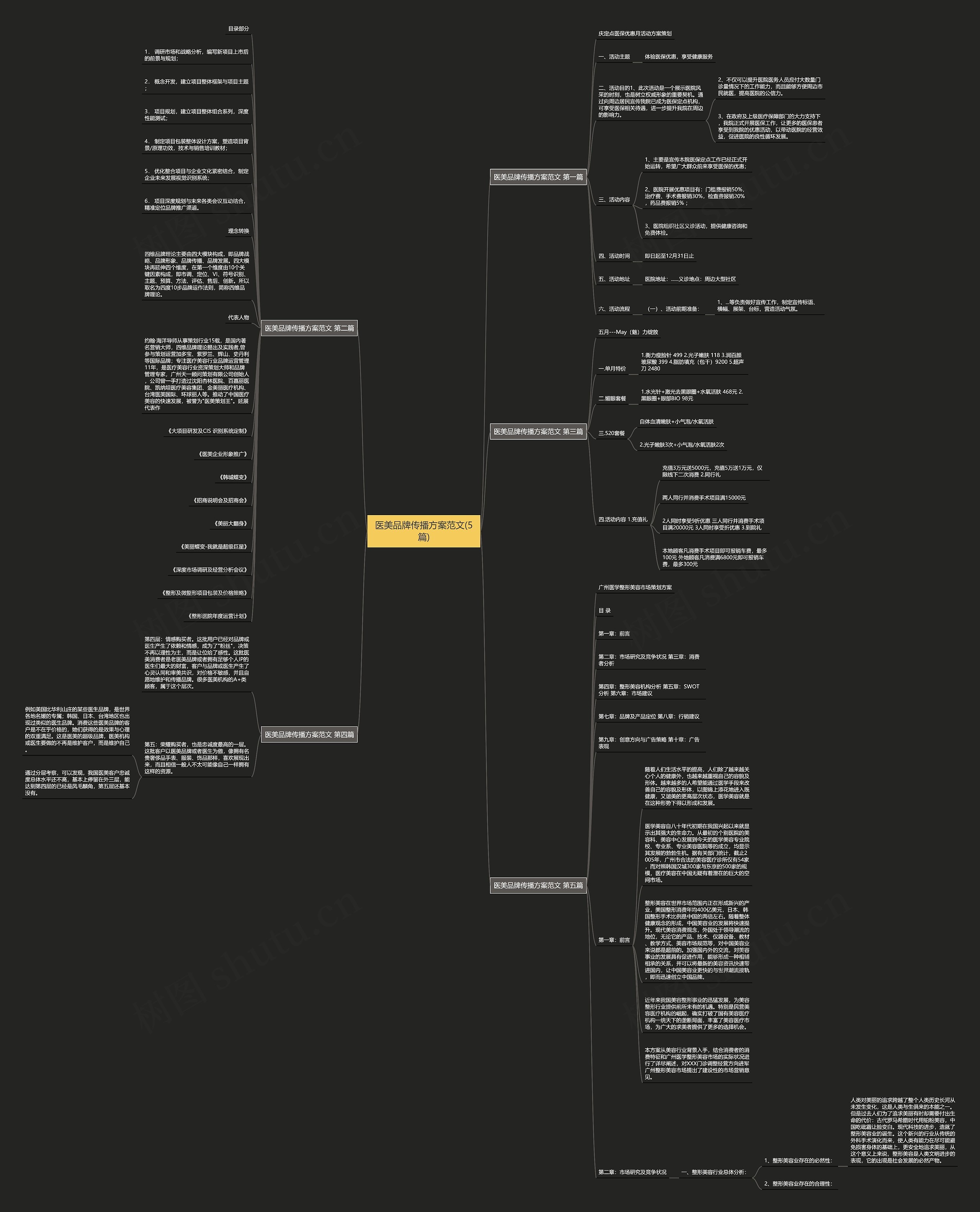 医美品牌传播方案范文(5篇)思维导图