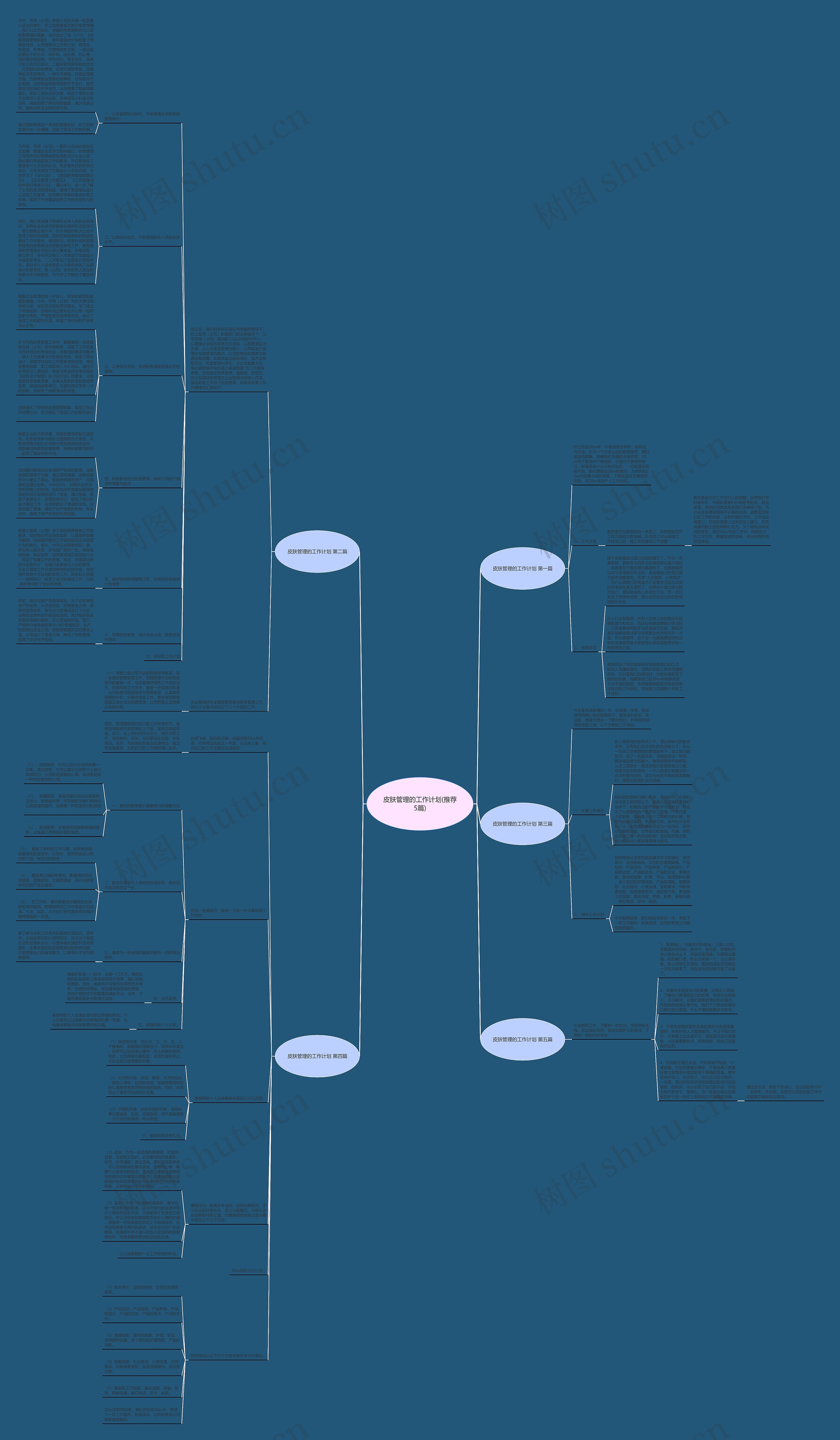 皮肤管理的工作计划(推荐5篇)思维导图