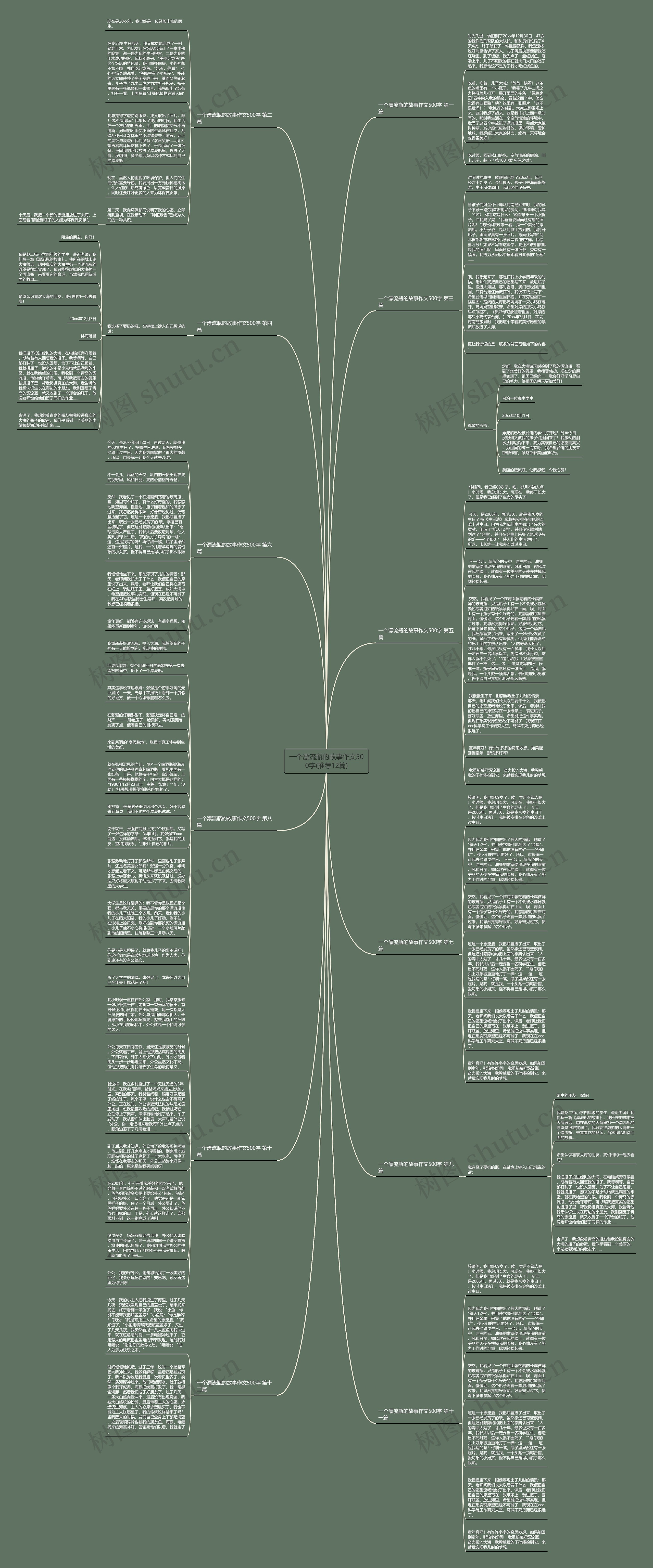 一个漂流瓶的故事作文500字(推荐12篇)思维导图