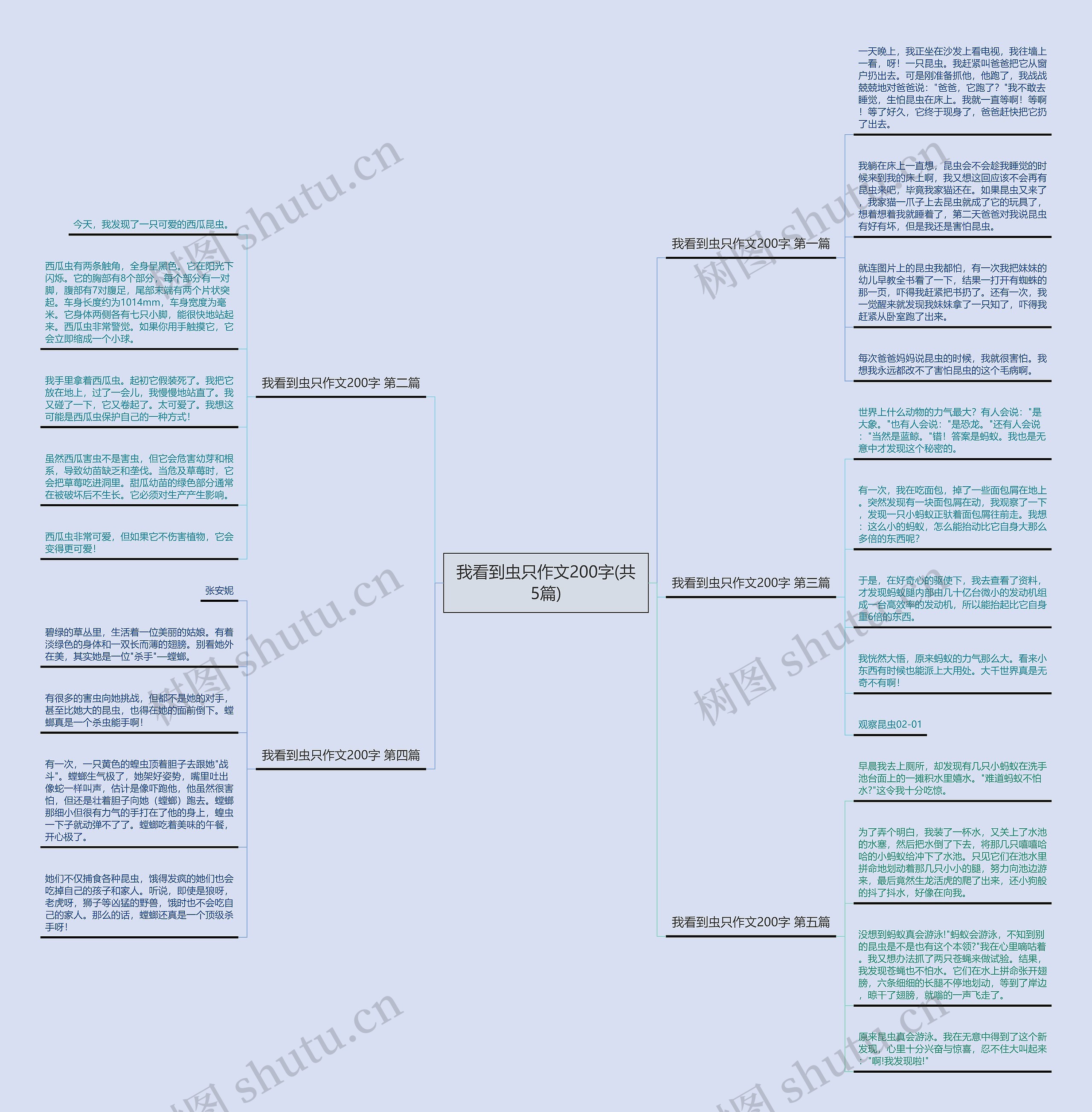 我看到虫只作文200字(共5篇)思维导图