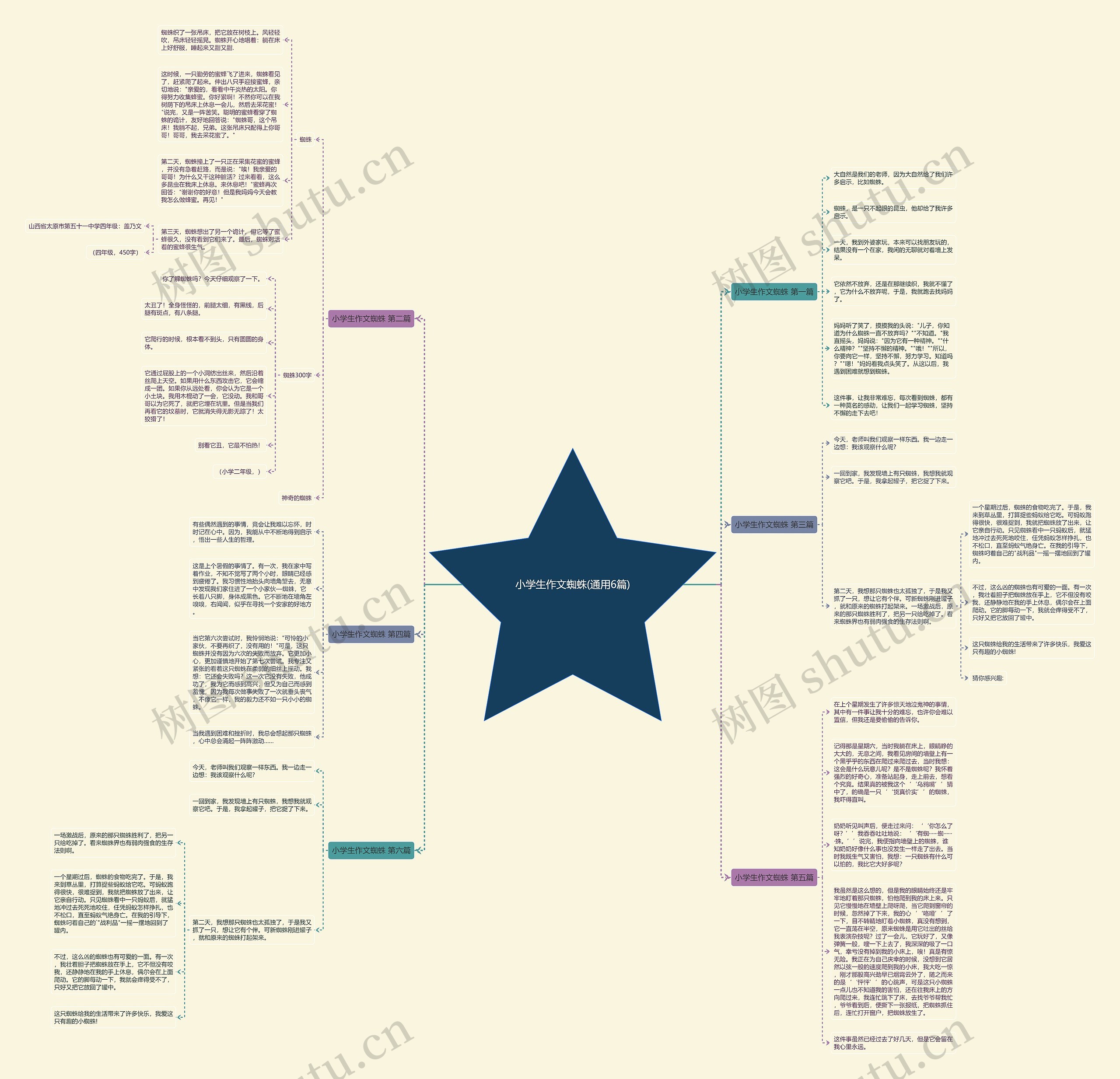 小学生作文蜘蛛(通用6篇)思维导图
