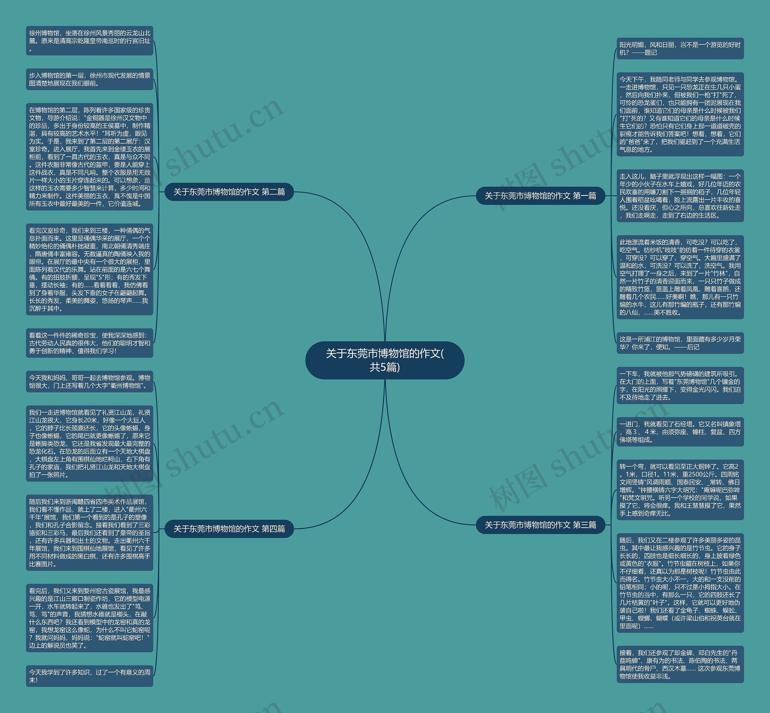 关于东莞市博物馆的作文(共5篇)思维导图
