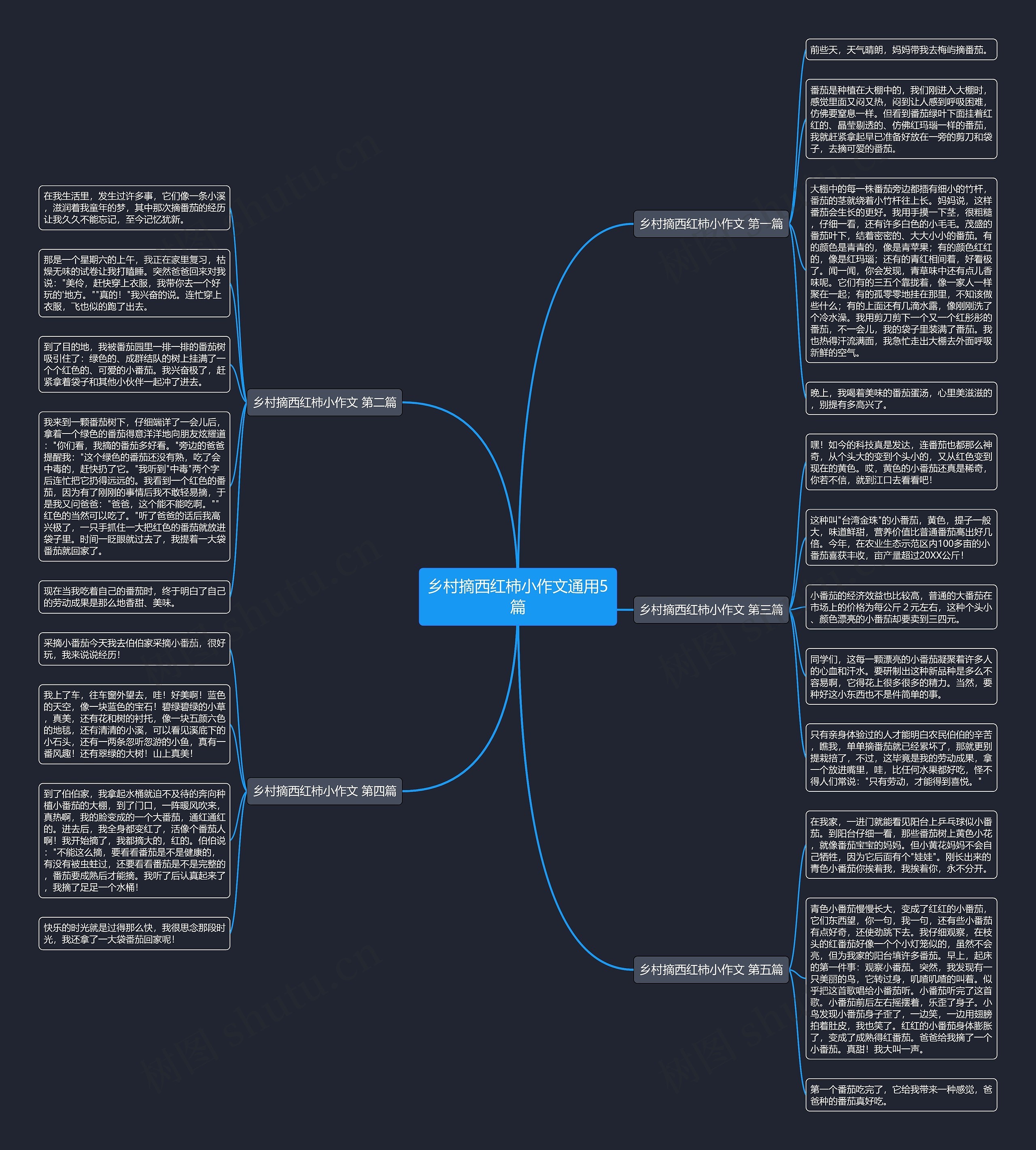 乡村摘西红柿小作文通用5篇思维导图