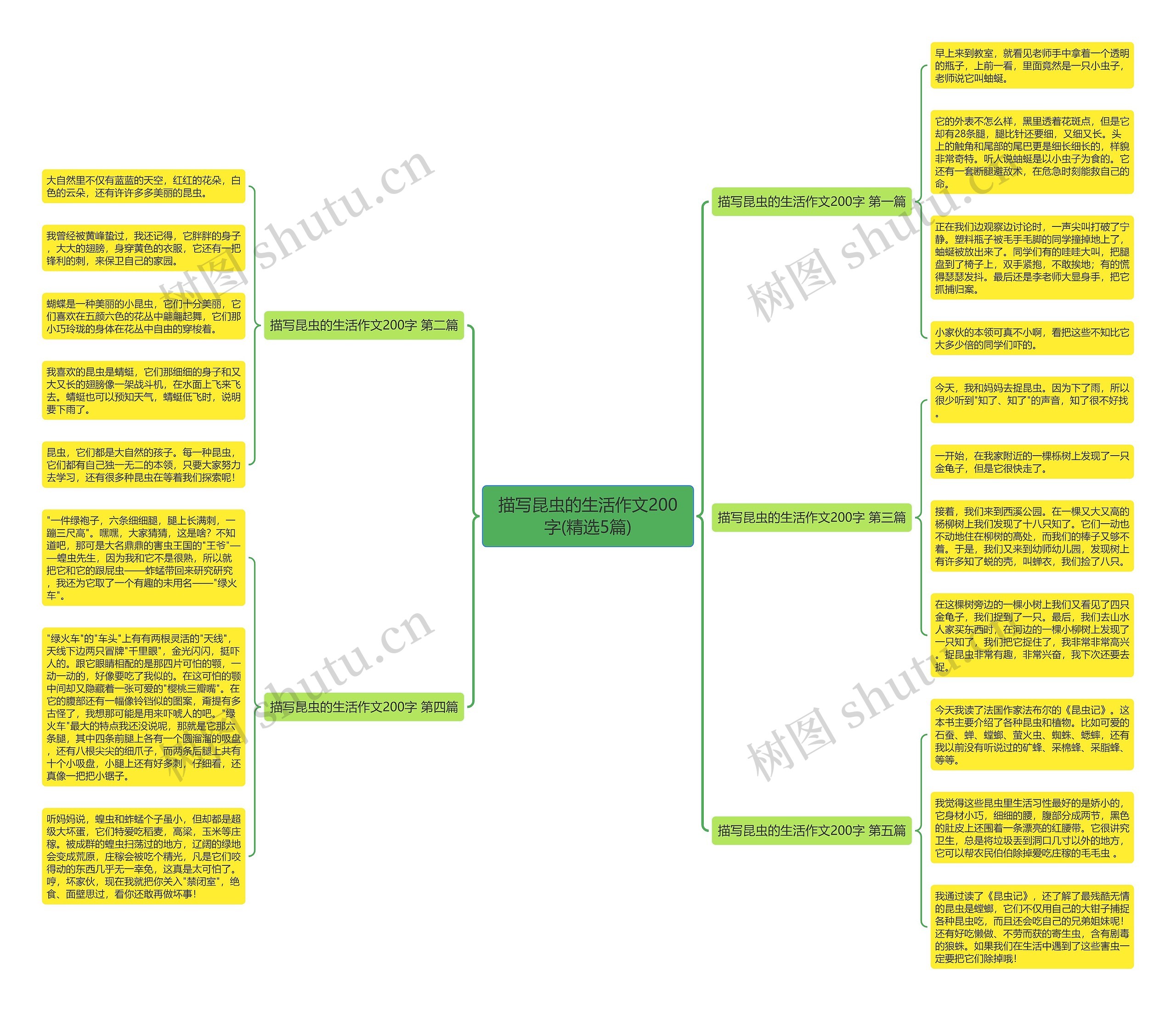 描写昆虫的生活作文200字(精选5篇)思维导图