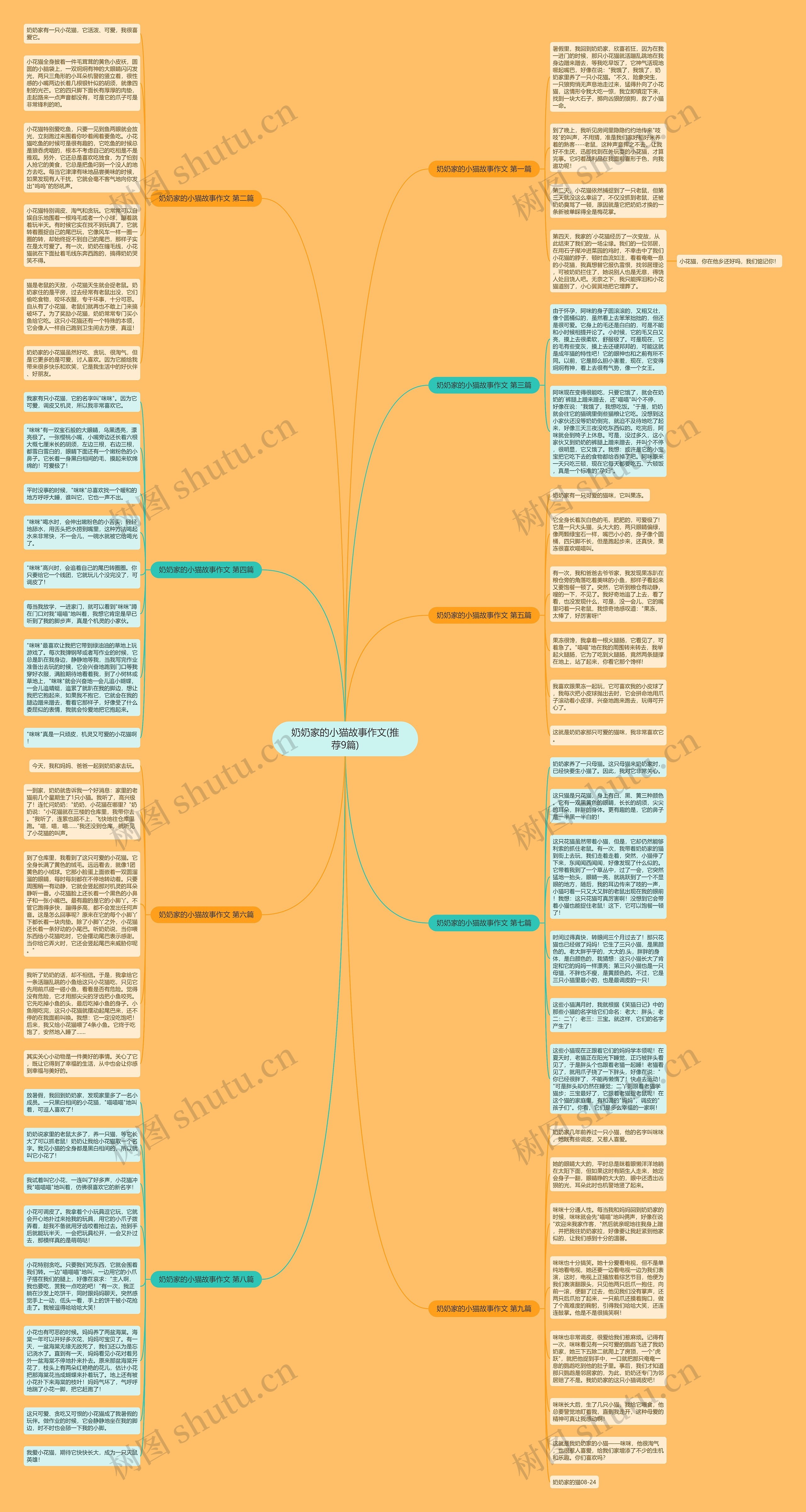 奶奶家的小猫故事作文(推荐9篇)思维导图
