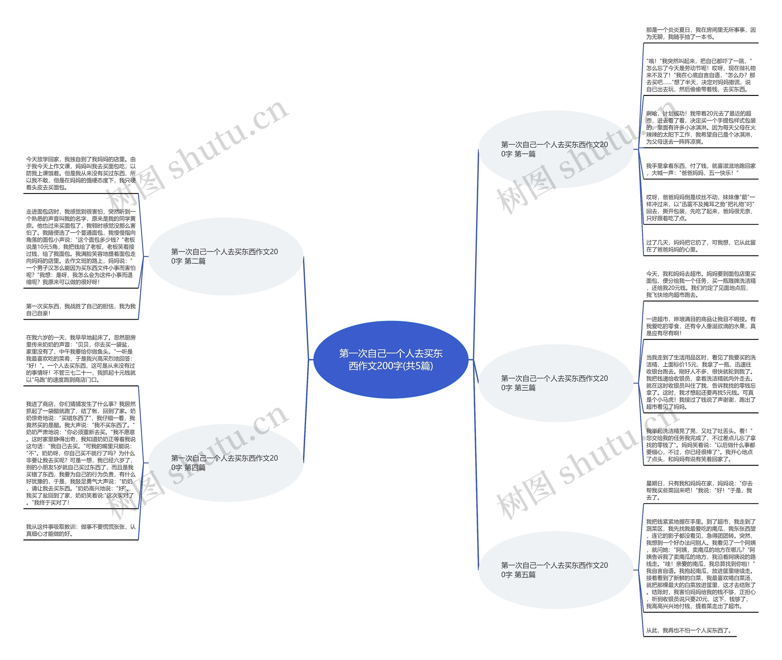 第一次自己一个人去买东西作文200字(共5篇)思维导图