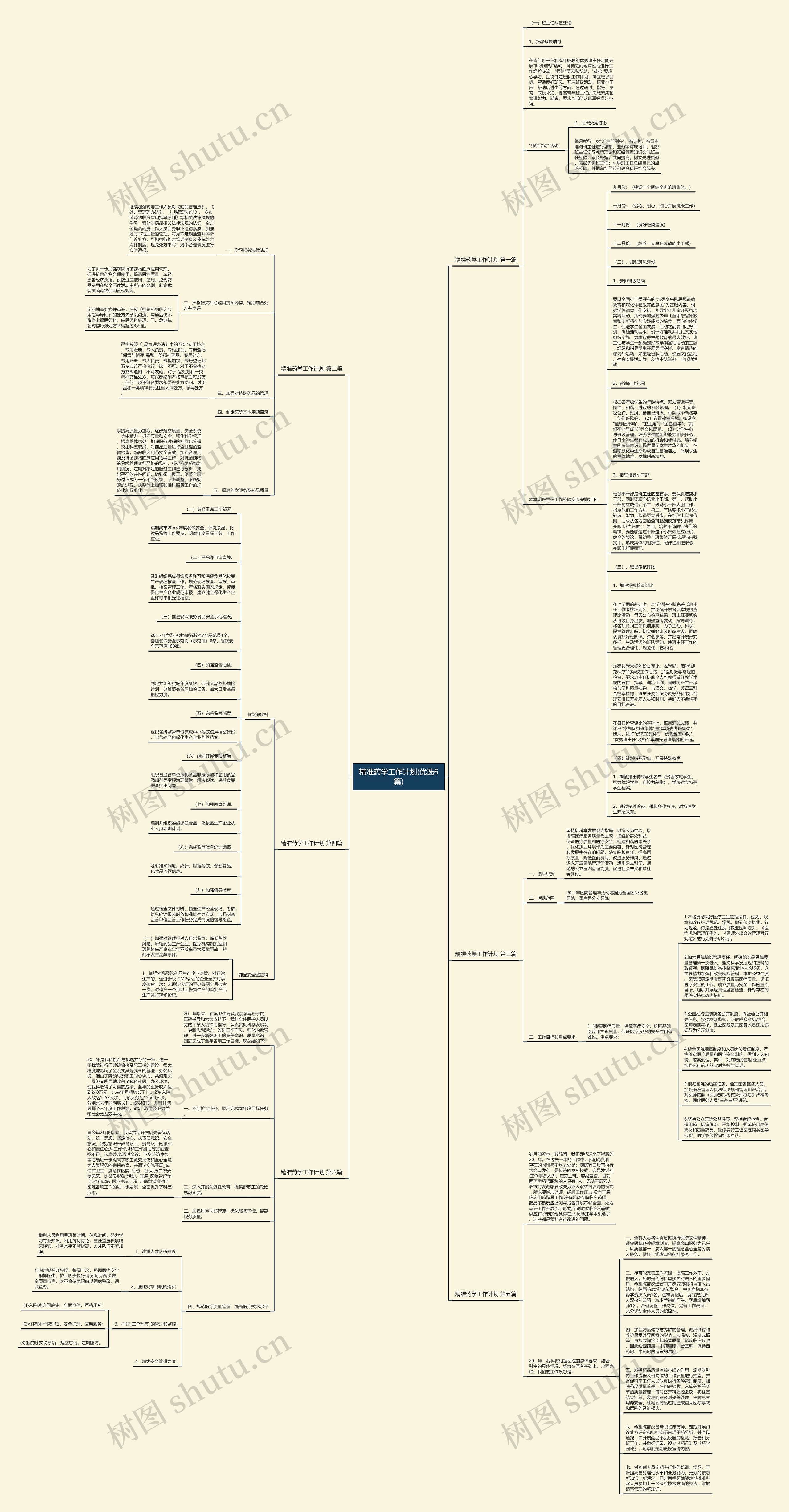 精准药学工作计划(优选6篇)思维导图