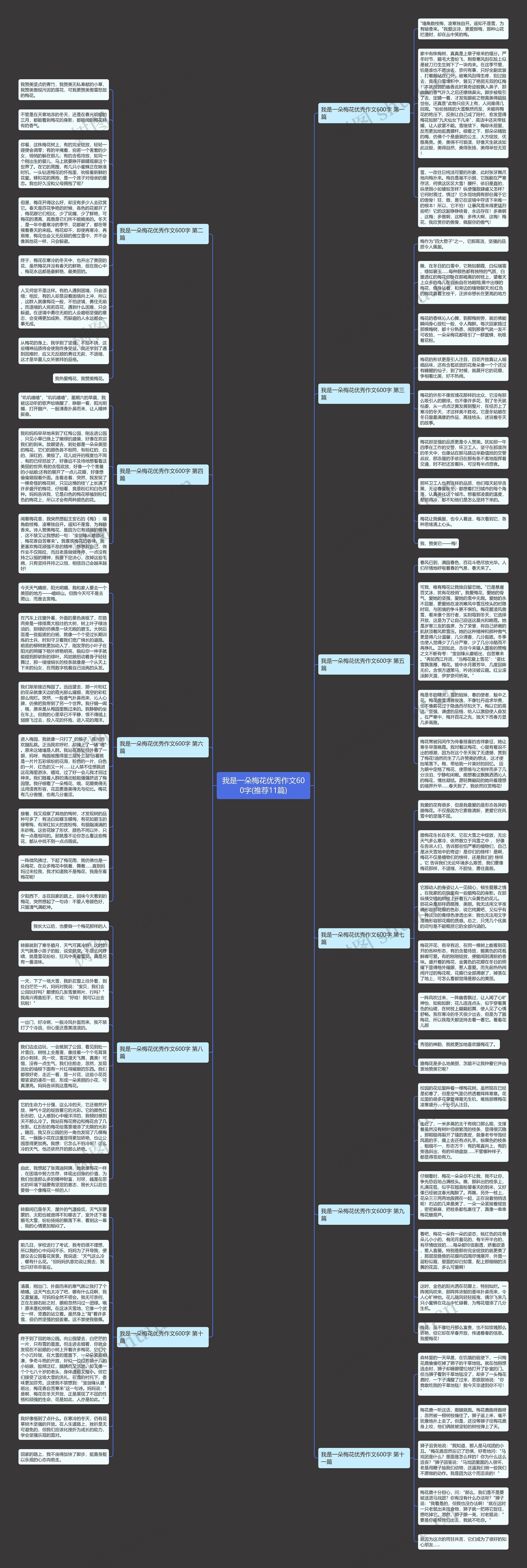 我是一朵梅花优秀作文600字(推荐11篇)思维导图