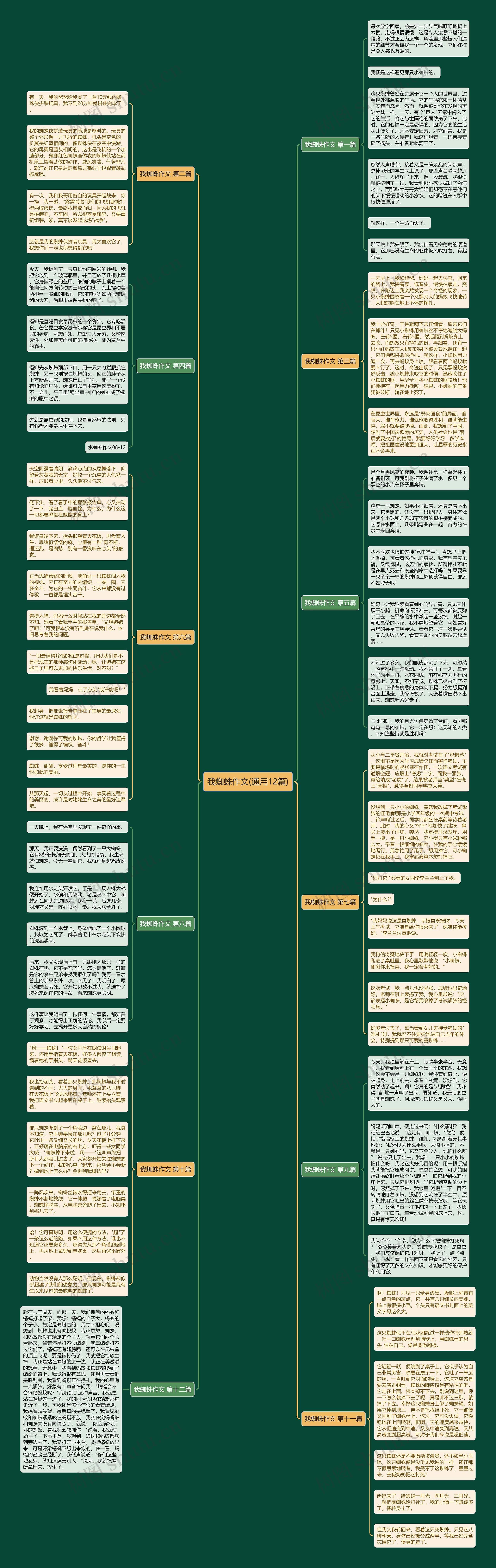 我蜘蛛作文(通用12篇) 我蜘蛛作文(通用12篇)
