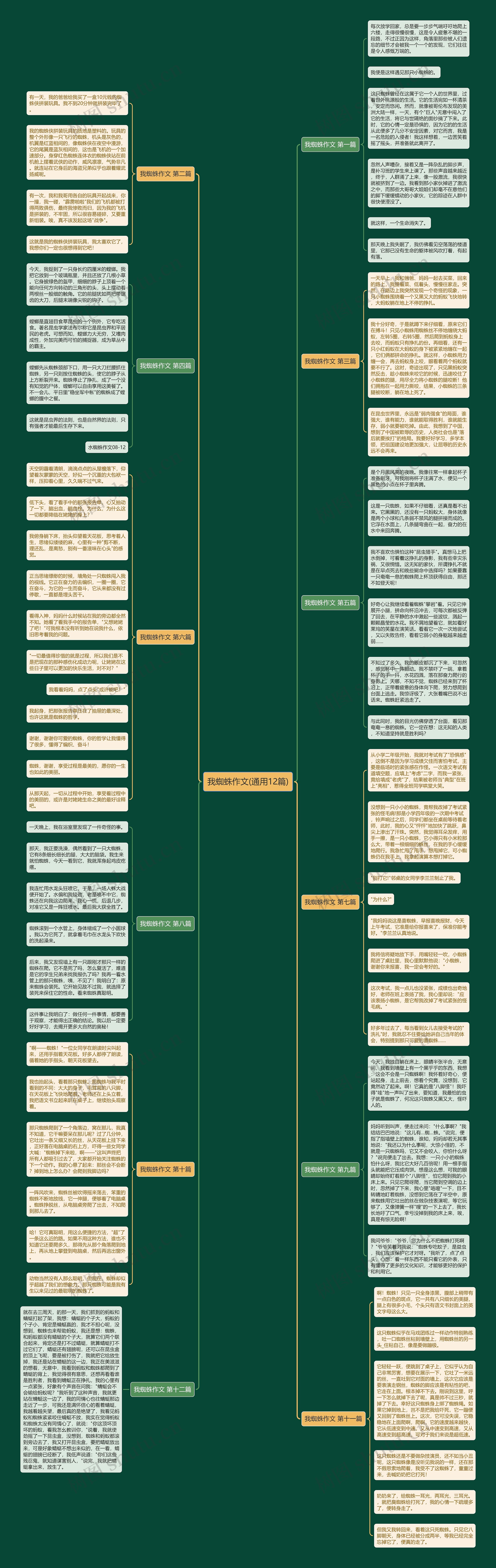 我蜘蛛作文(通用12篇)思维导图