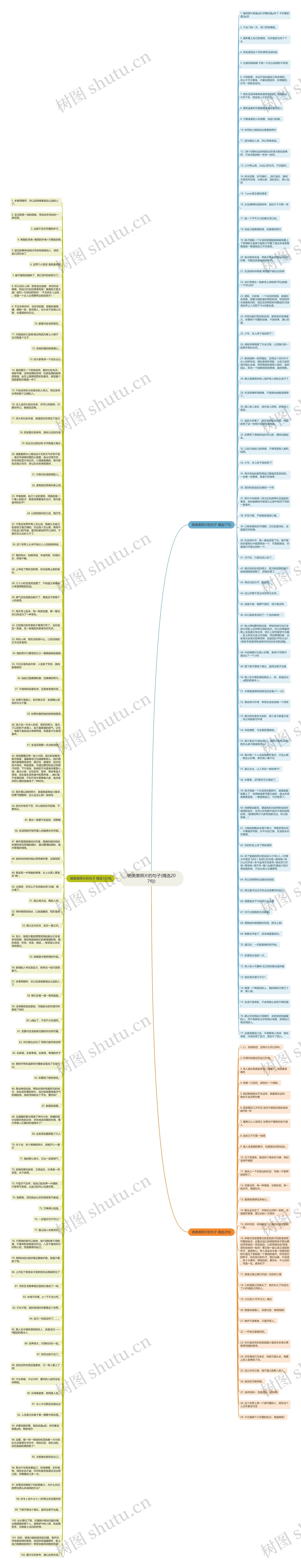 晒美美照片的句子(精选207句)思维导图