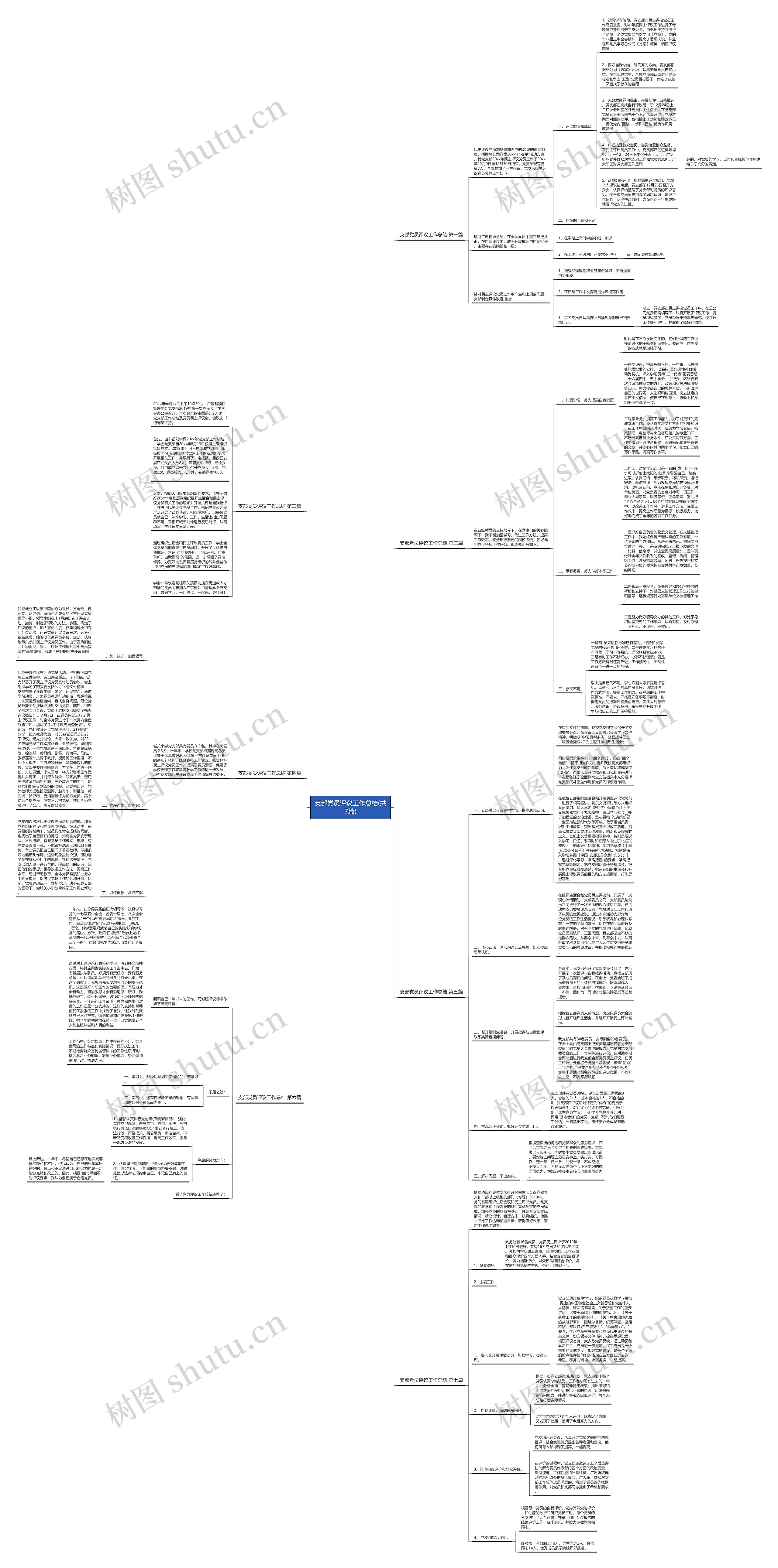 支部党员评议工作总结(共7篇)思维导图