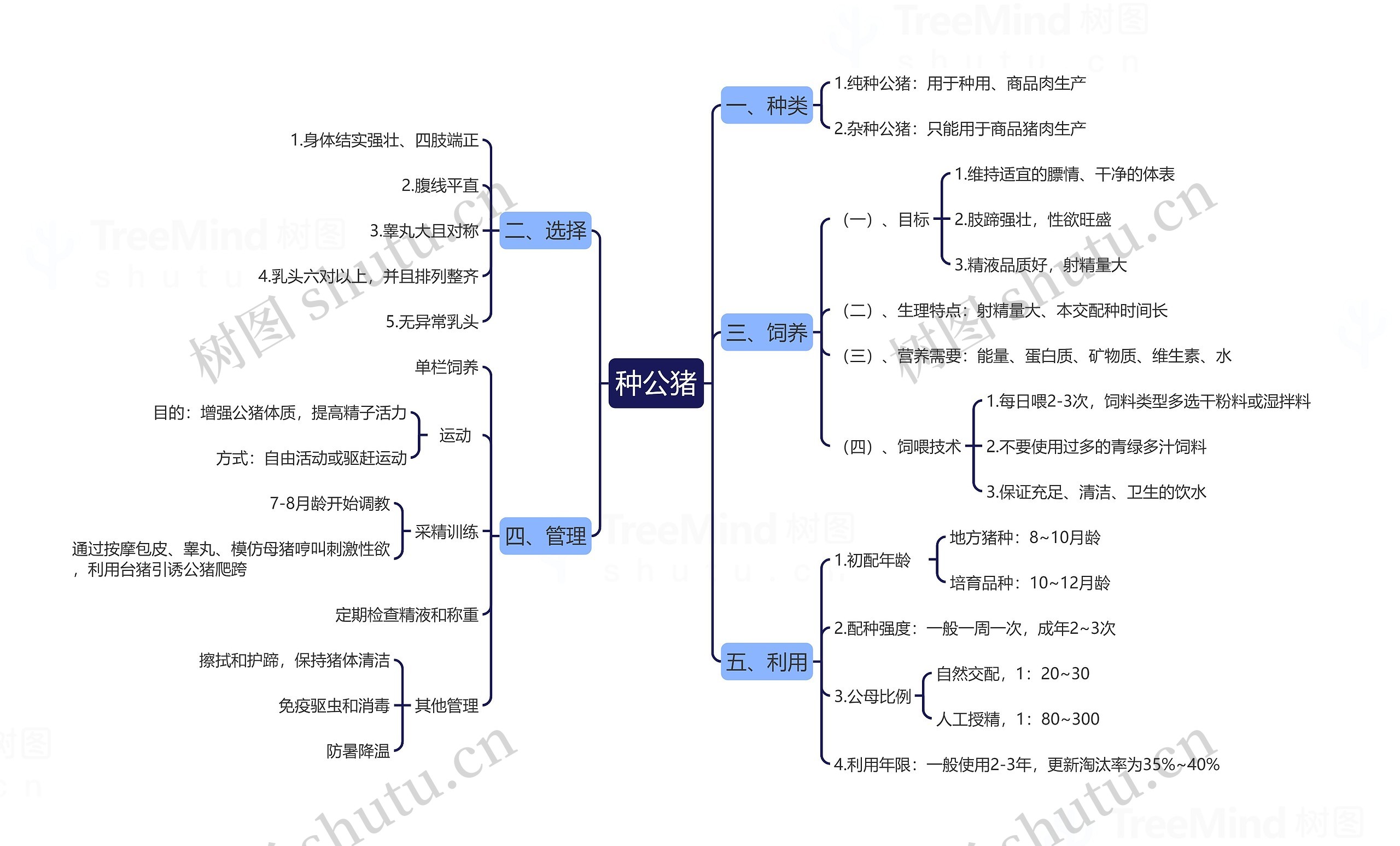 种公猪思维导图