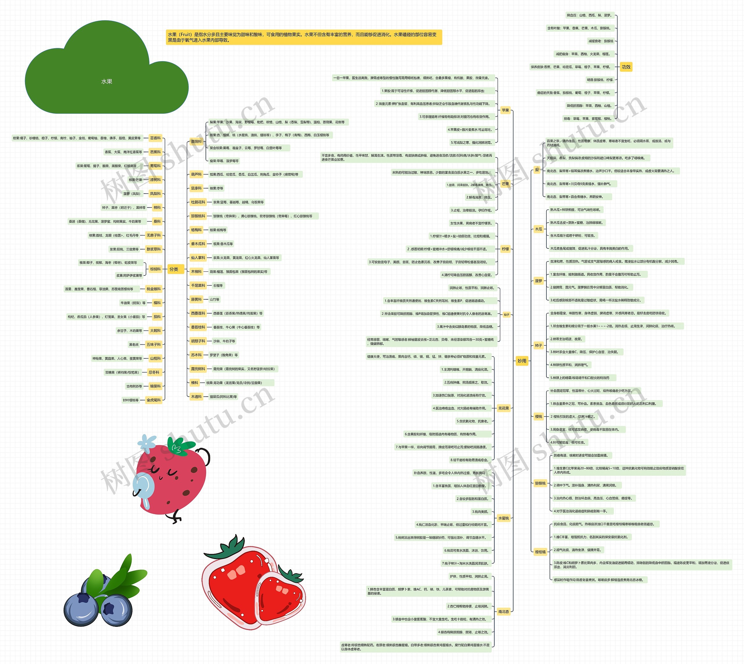 水果思维导图