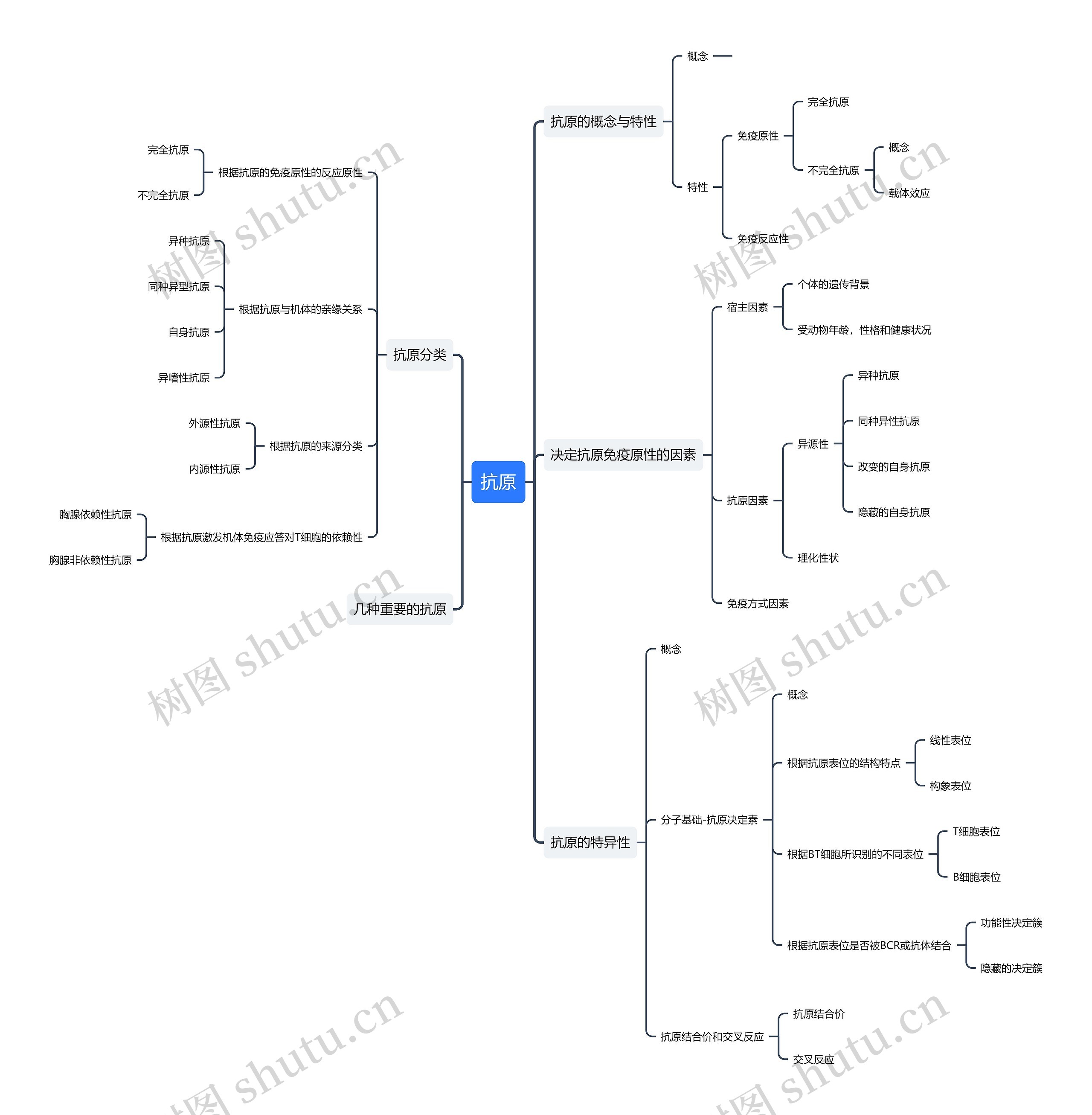 抗原思维导图