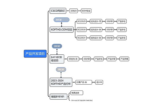 产品开发项目