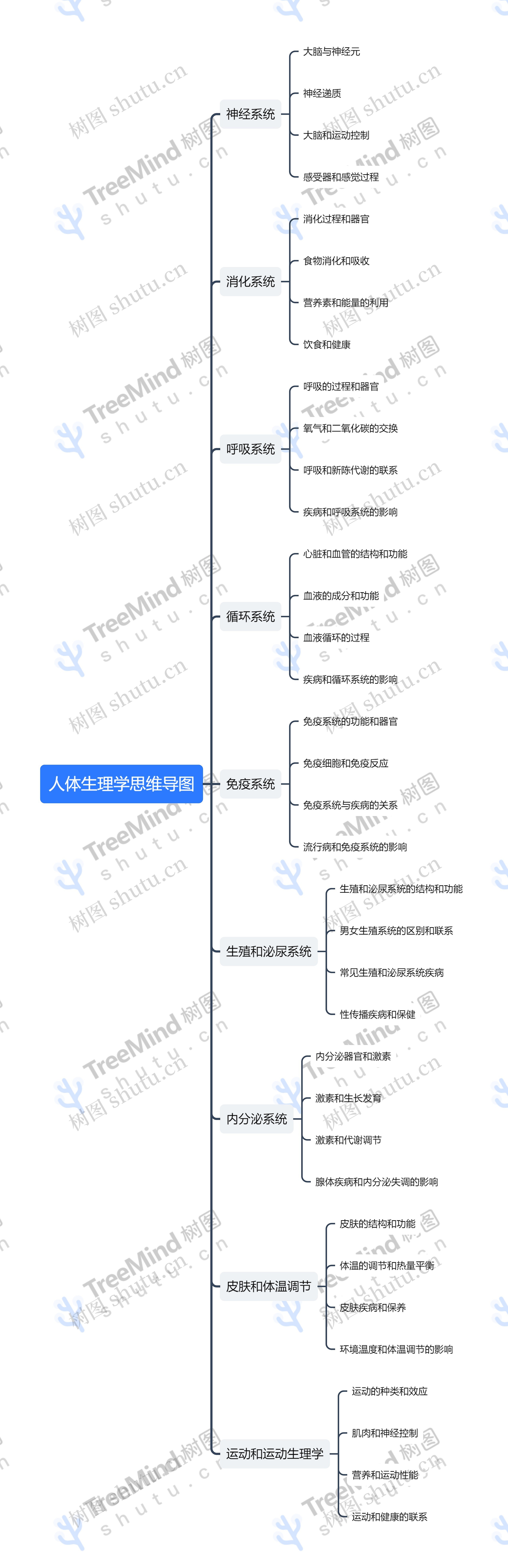 人体生理学思维导图