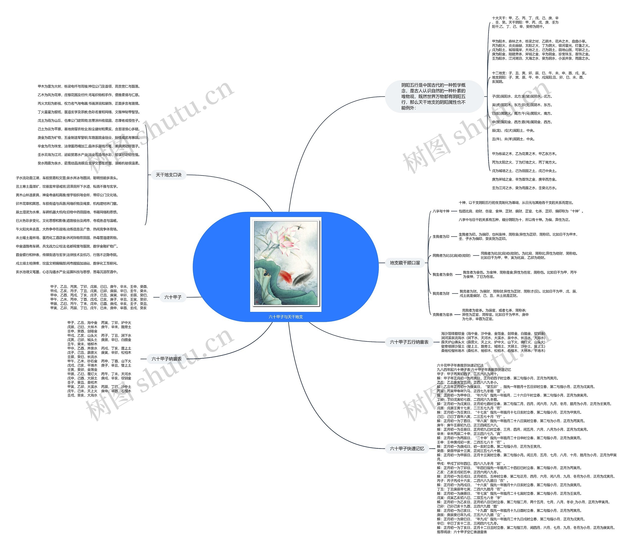 六十甲子与天干地支思维导图