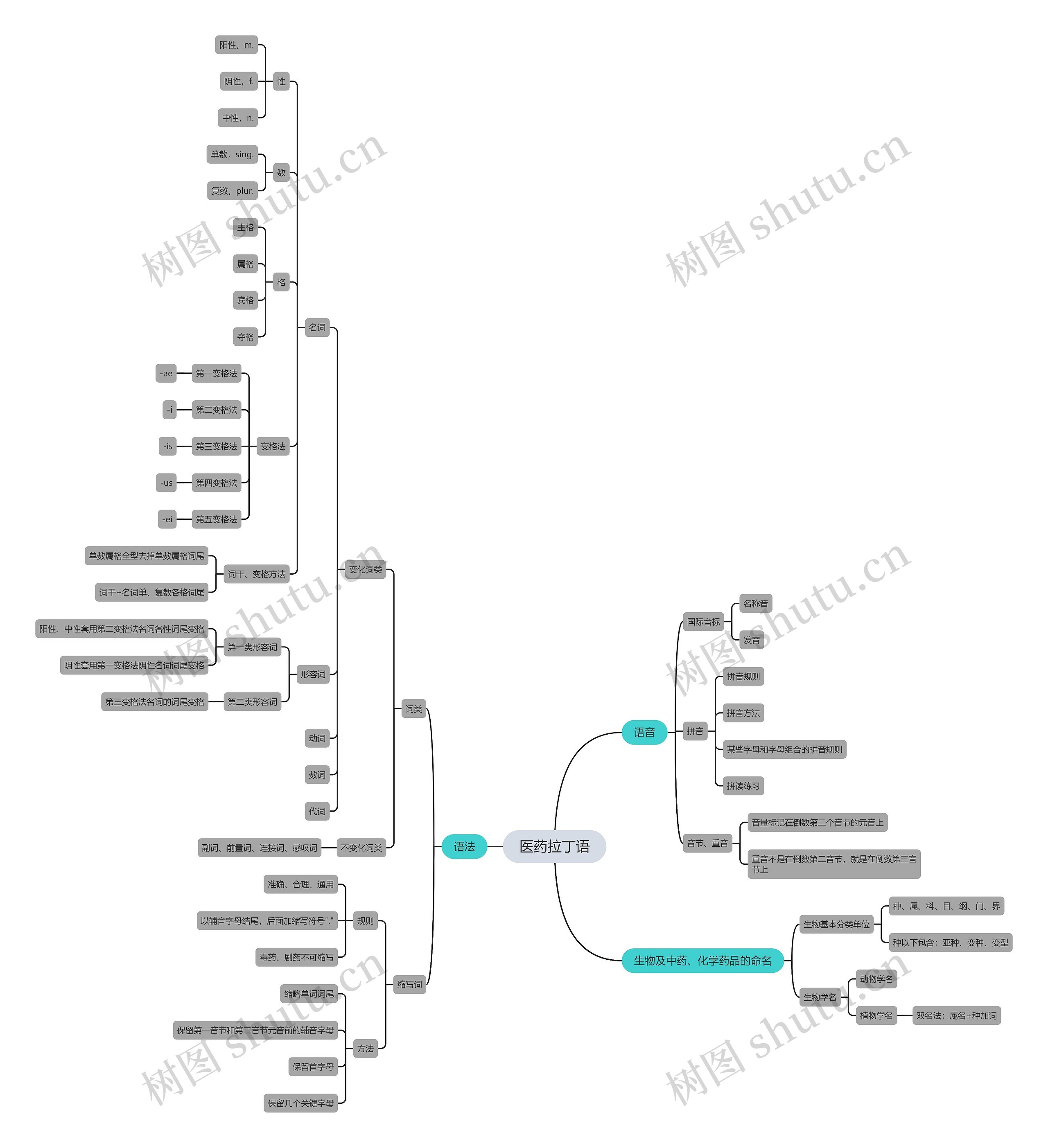 医药拉丁语思维导图