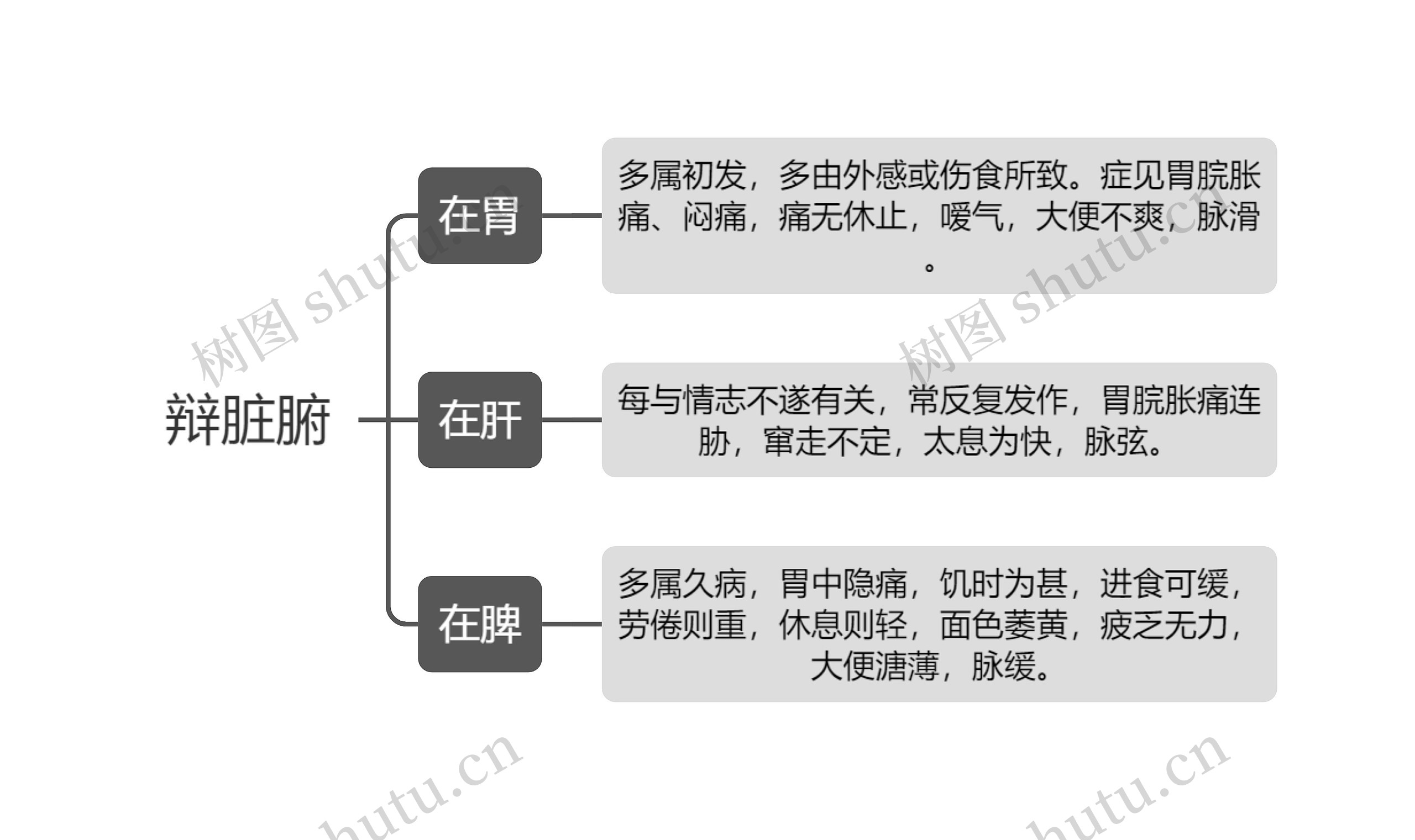 辩脏腑