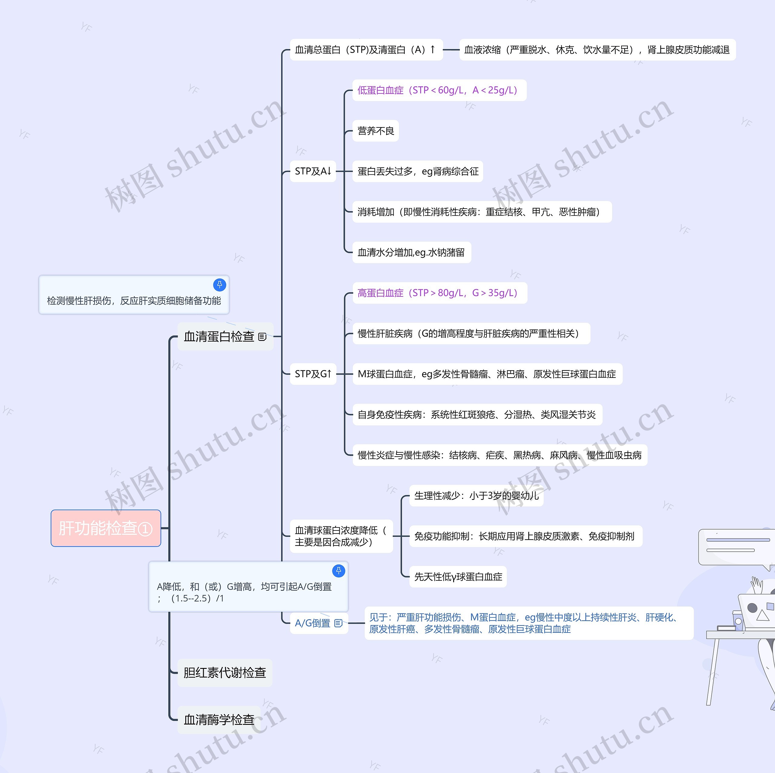 肝功能检查思维导图