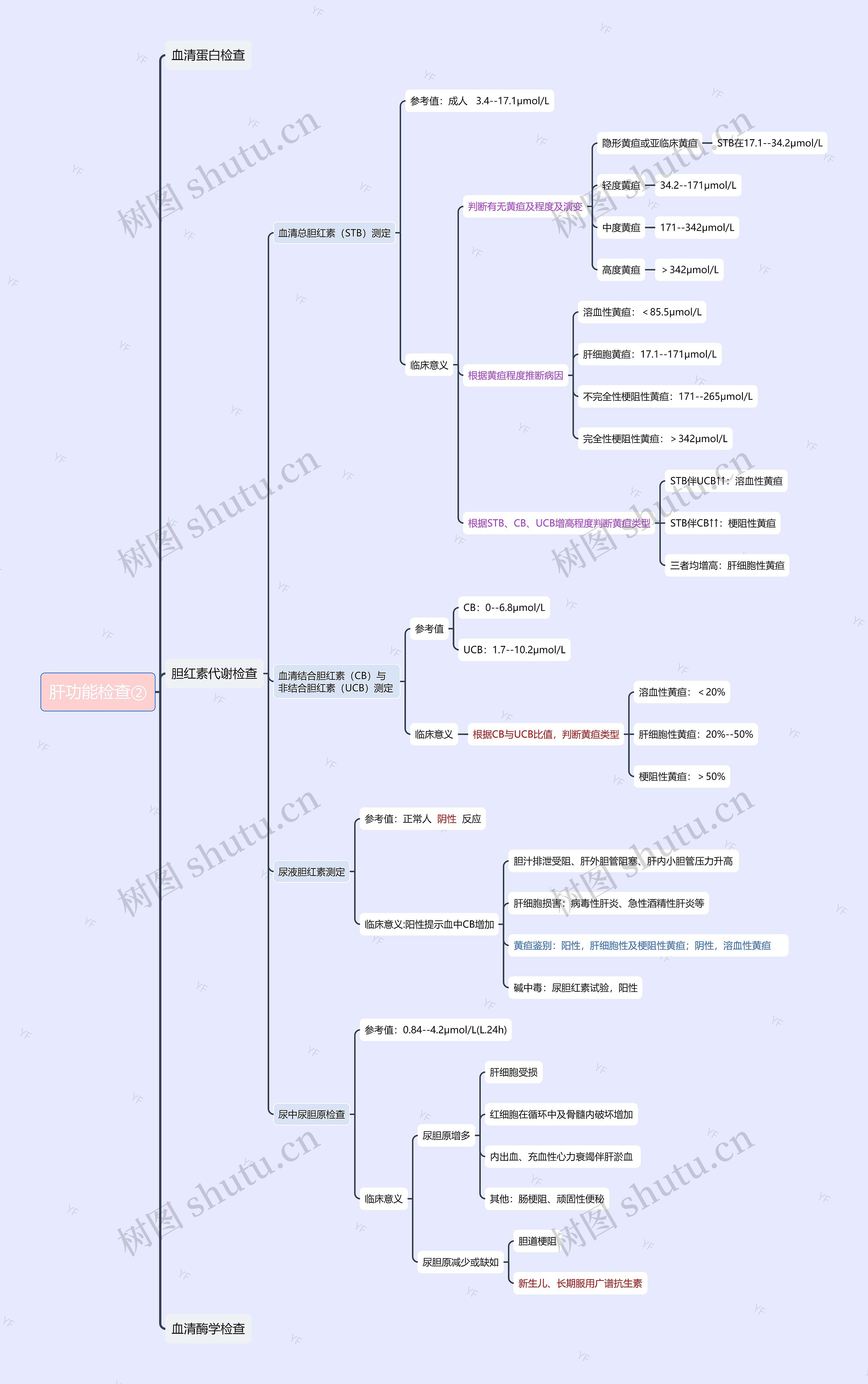 肝功能检查②思维导图
