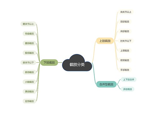 截肢分类思维导图