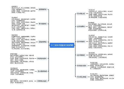 十二经补泻温凉引经药歌