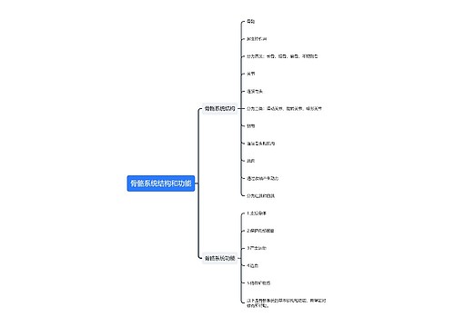 骨骼系统结构和功能