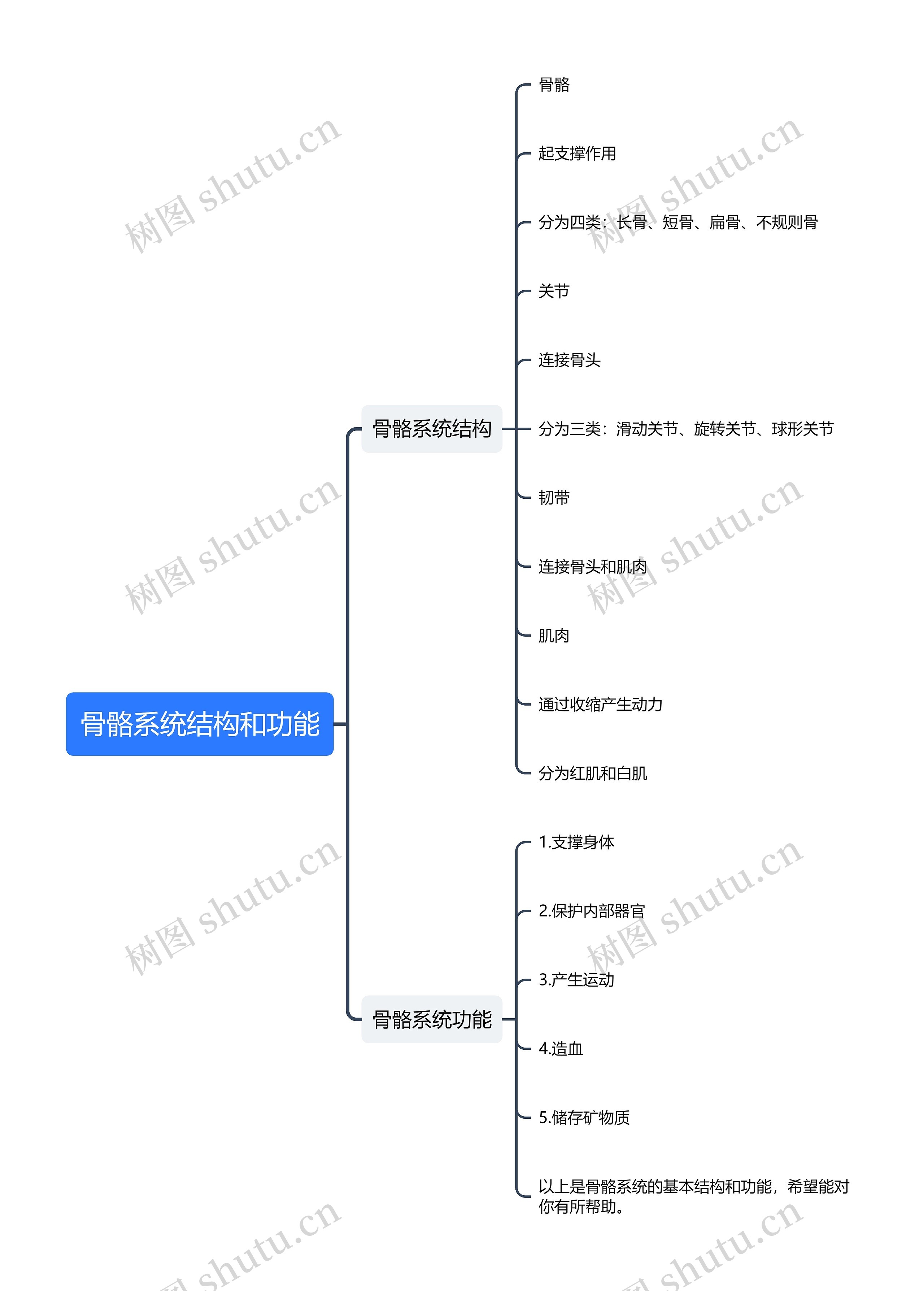 骨骼系统结构和功能