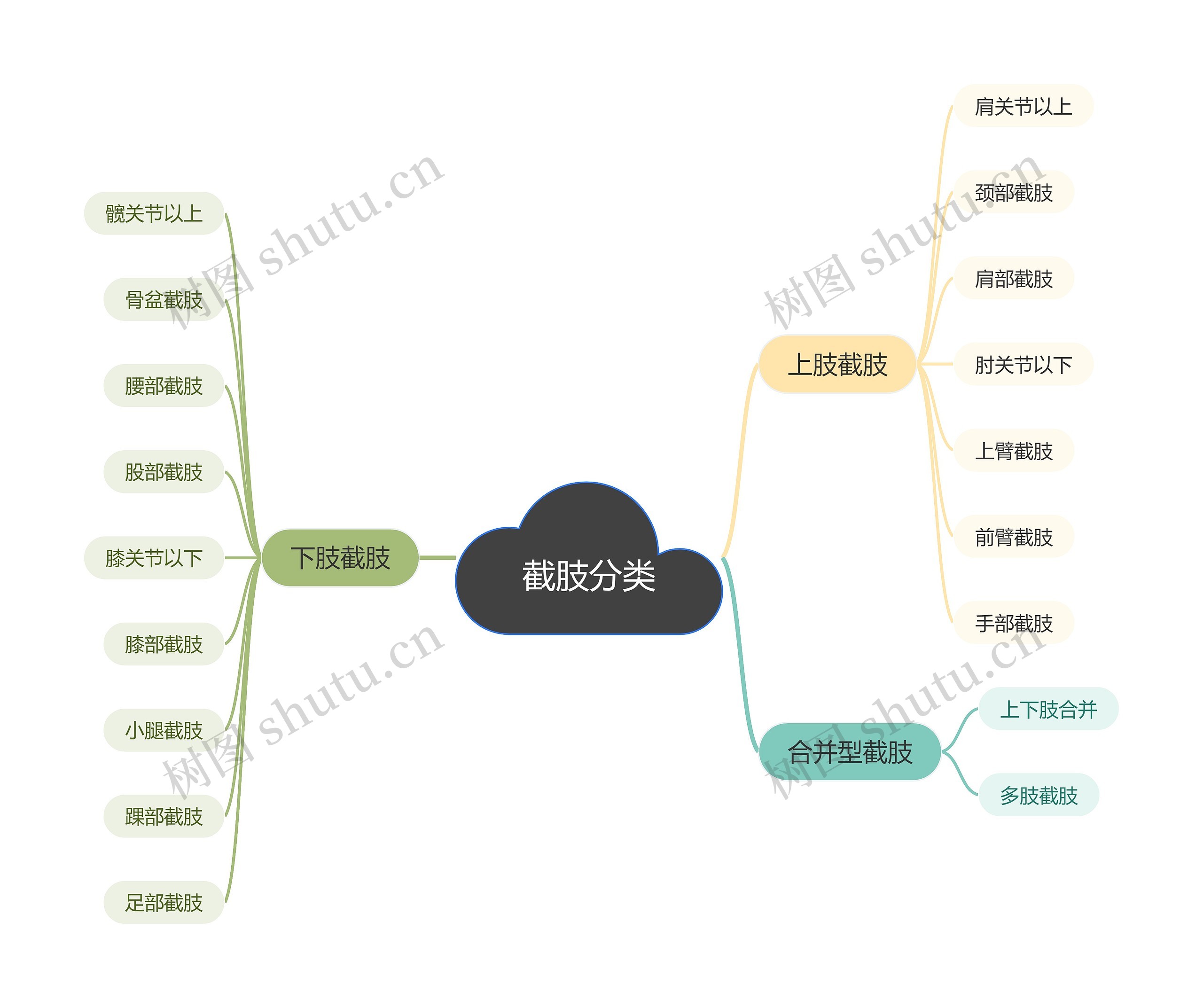 截肢分类思维导图