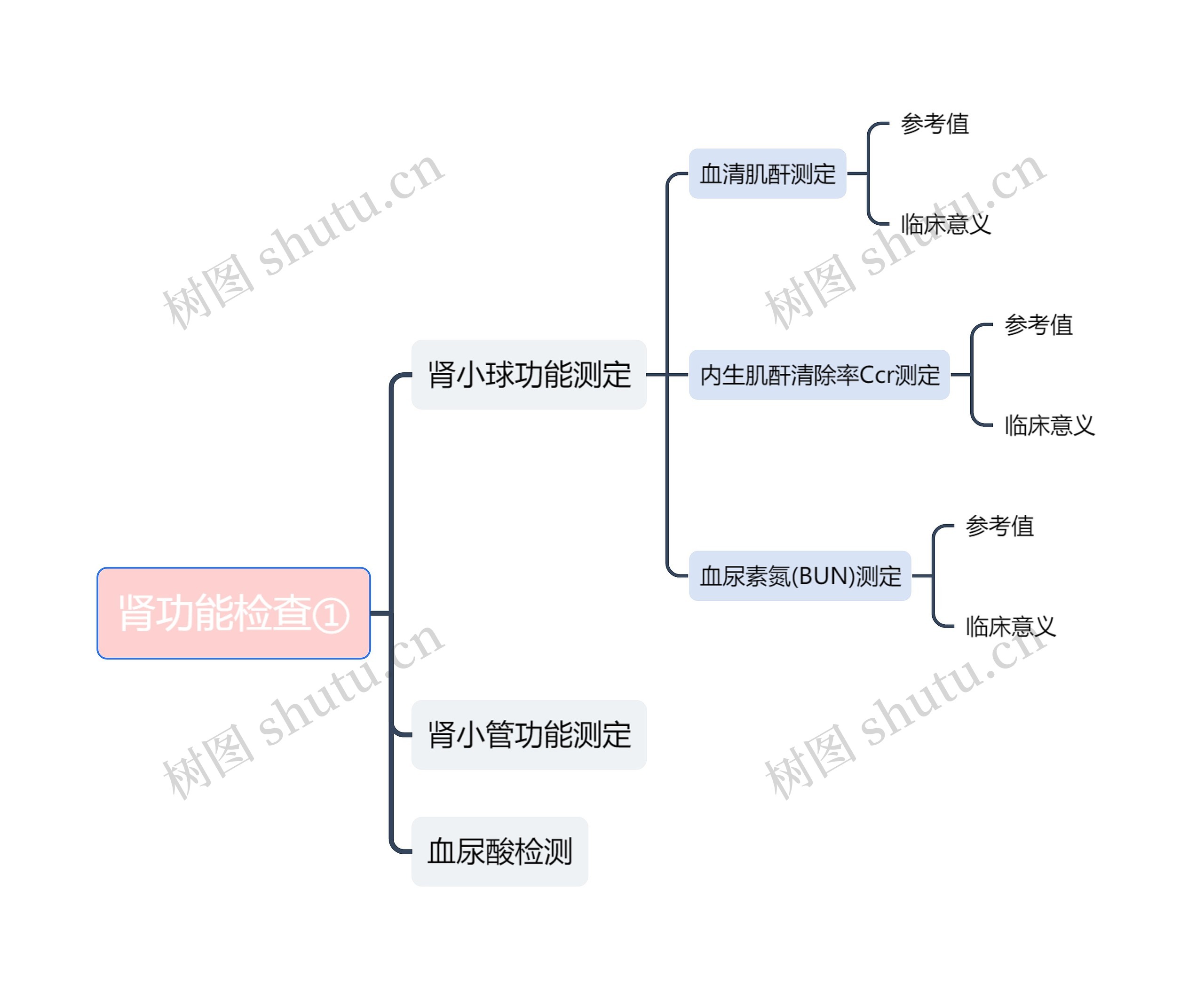 肾功能检查①思维导图