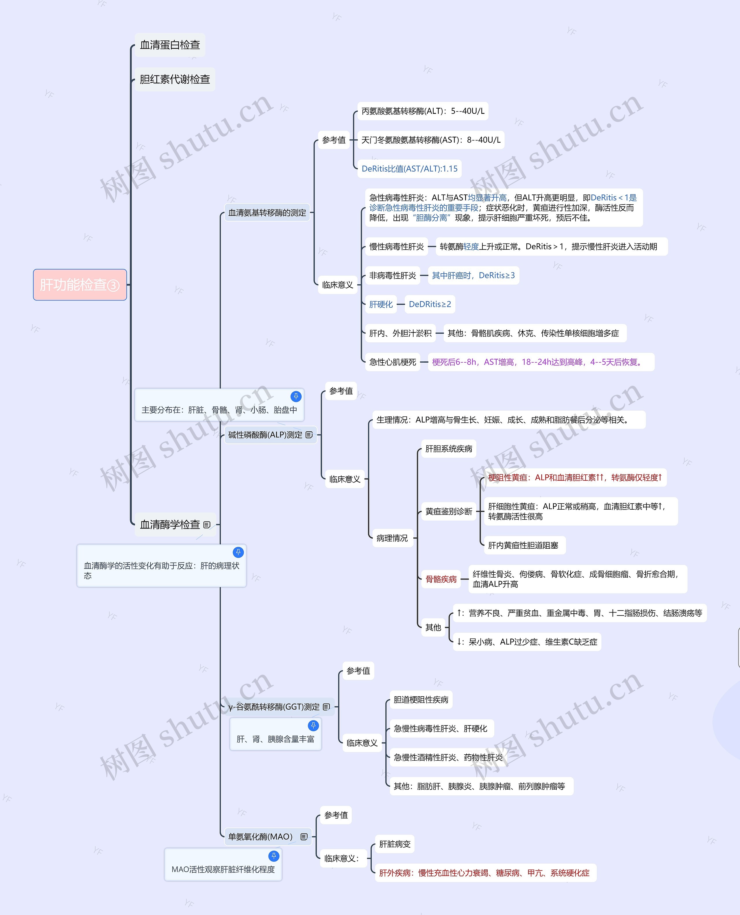 肝功能检查③思维导图